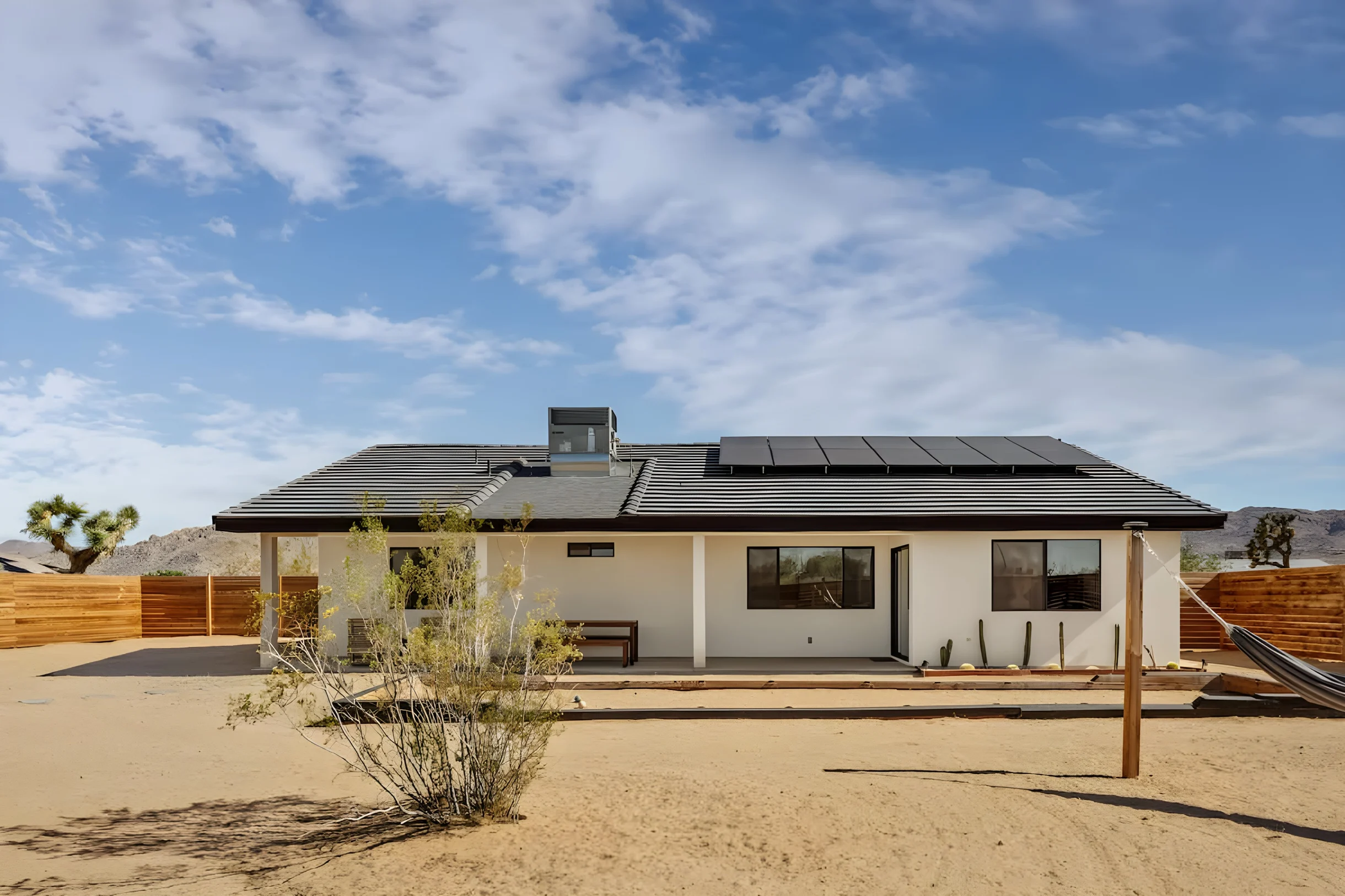 Wander Joshua Tree Pinnacles #50