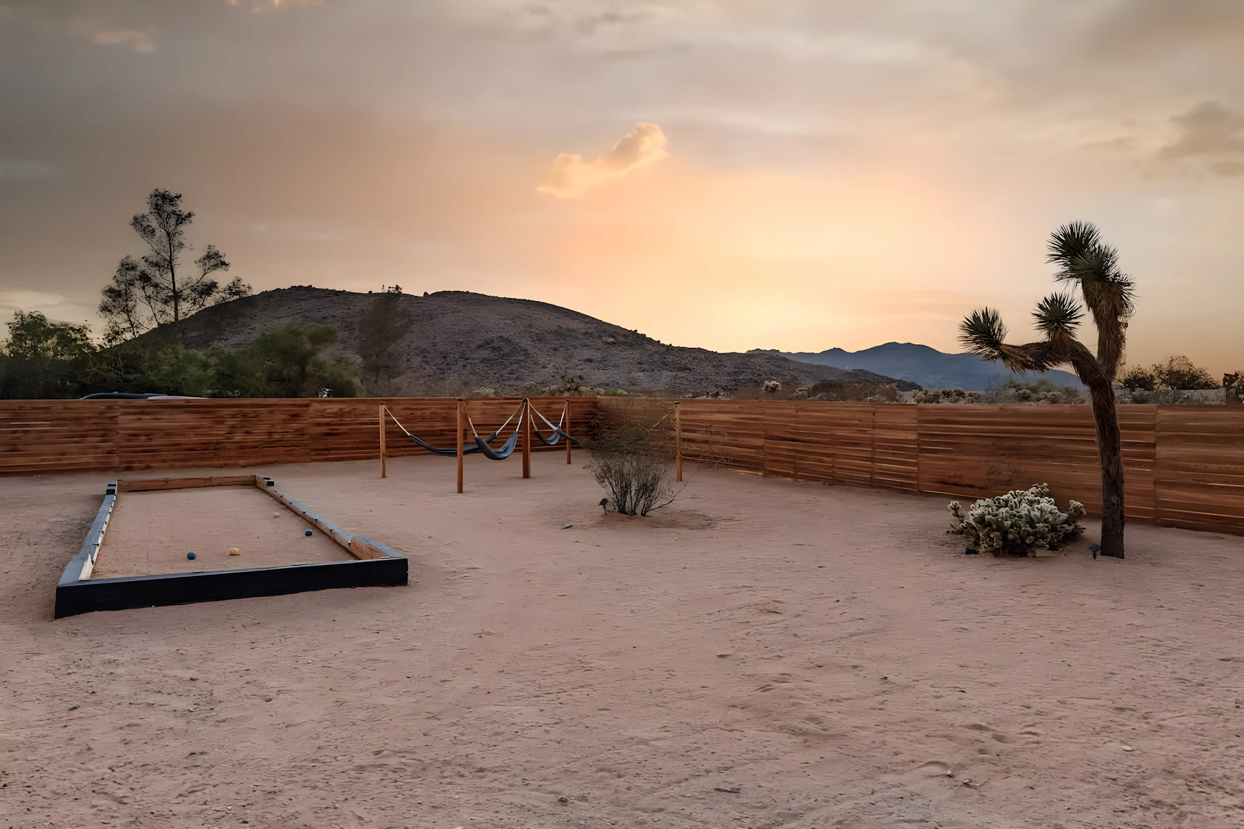 Wander Joshua Tree Pinnacles #55