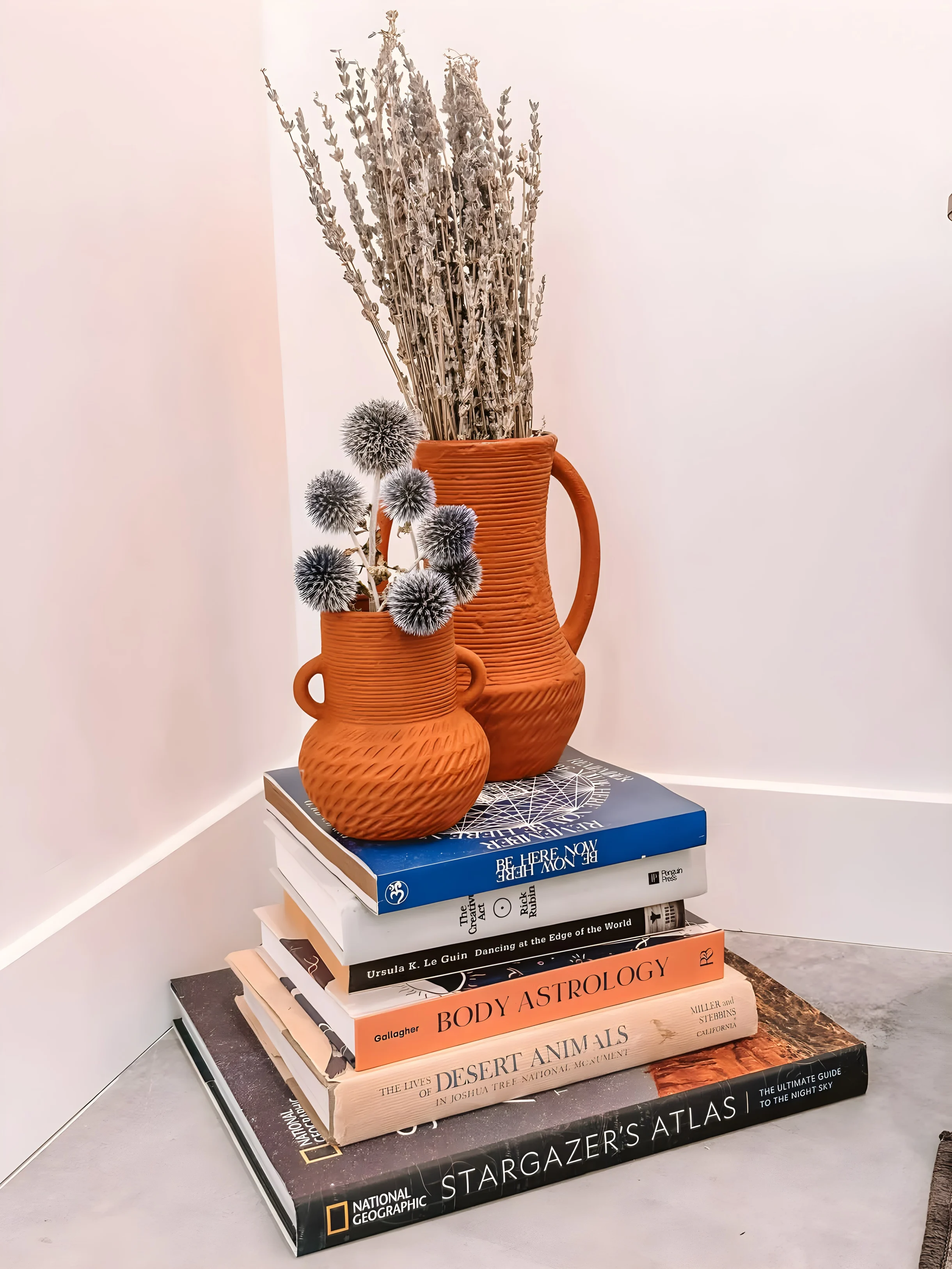 Wander Joshua Tree Sunscape