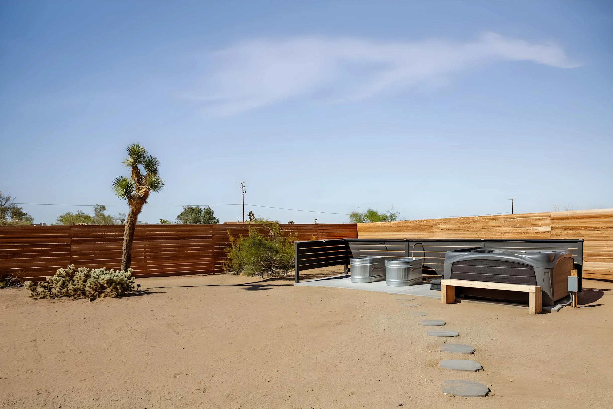 Wander Joshua Tree Pinnacles #57