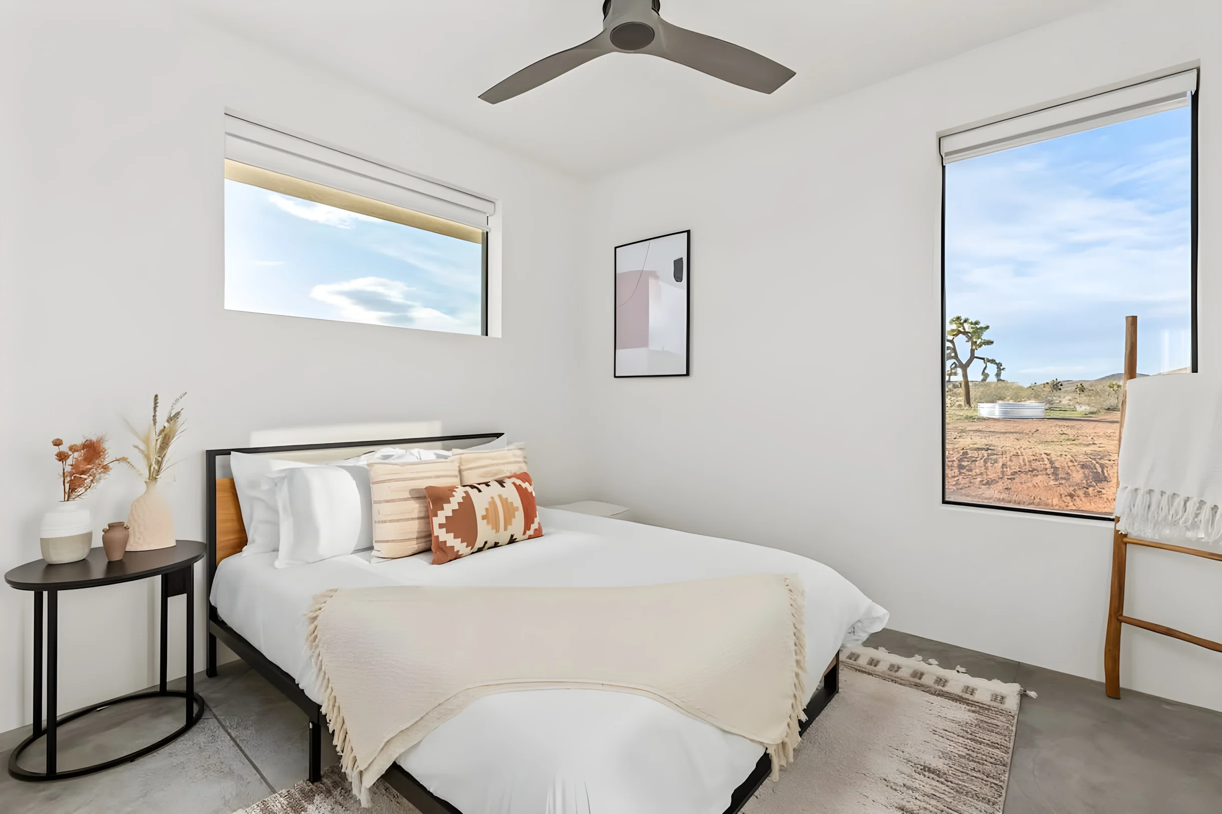 Wander Joshua Tree Aurora #9