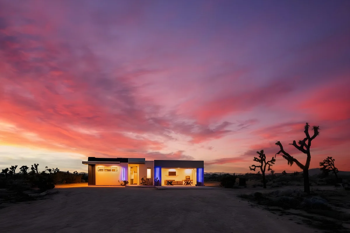Wander Joshua Tree Aurora