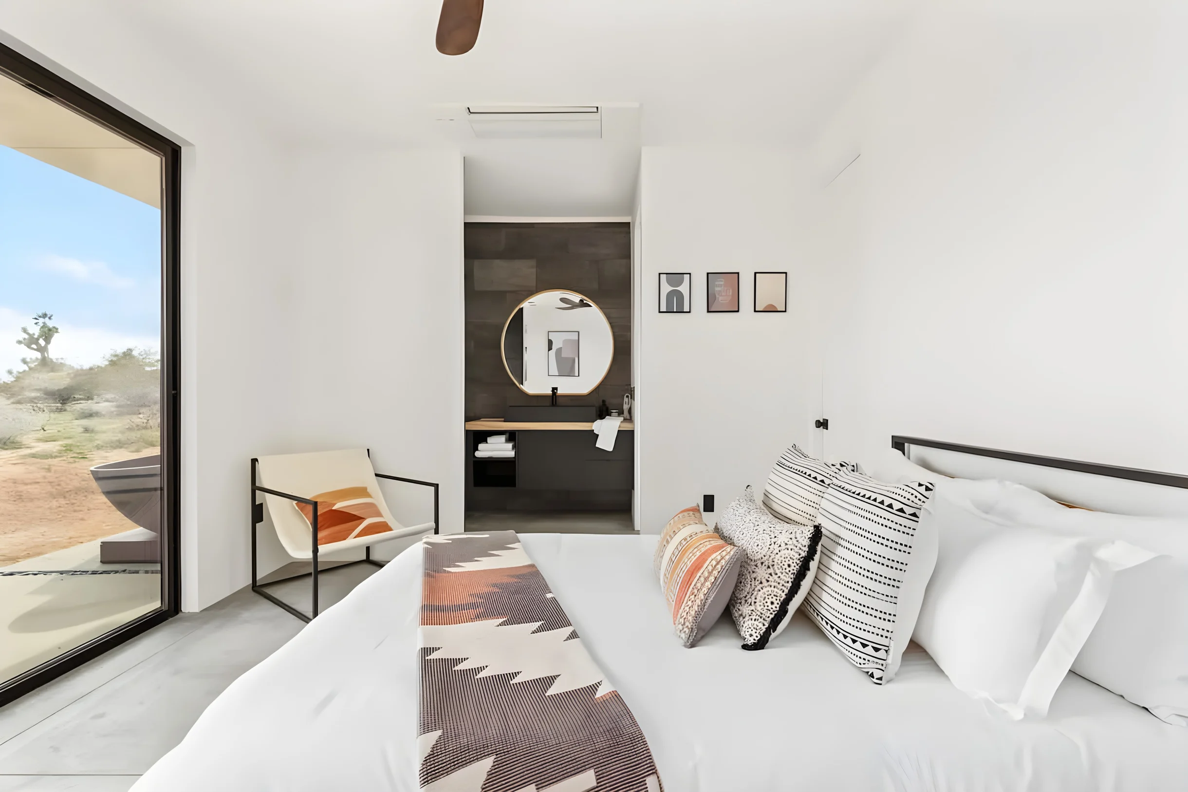 Wander Joshua Tree Aurora #23