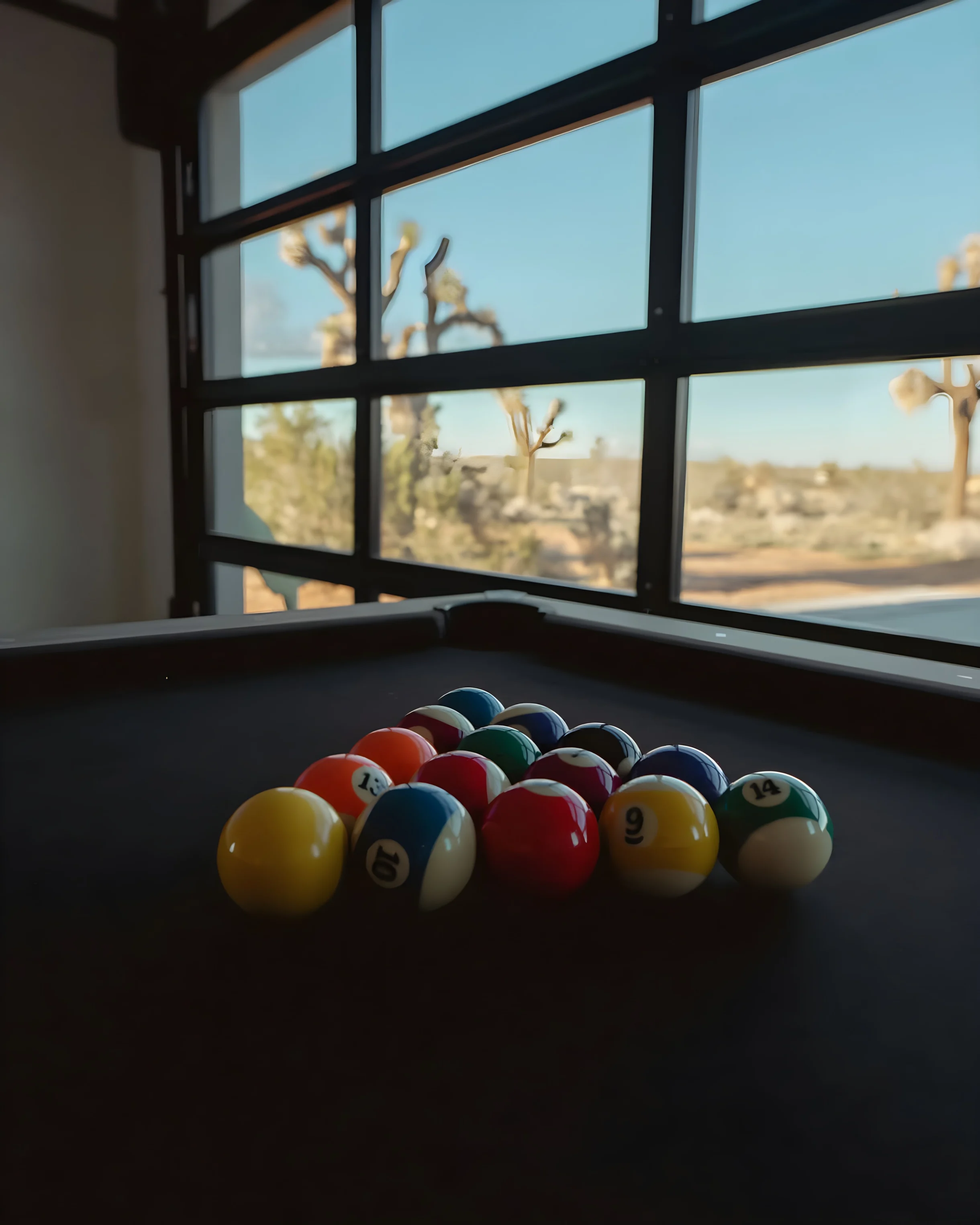 Wander Joshua Tree Aurora #19