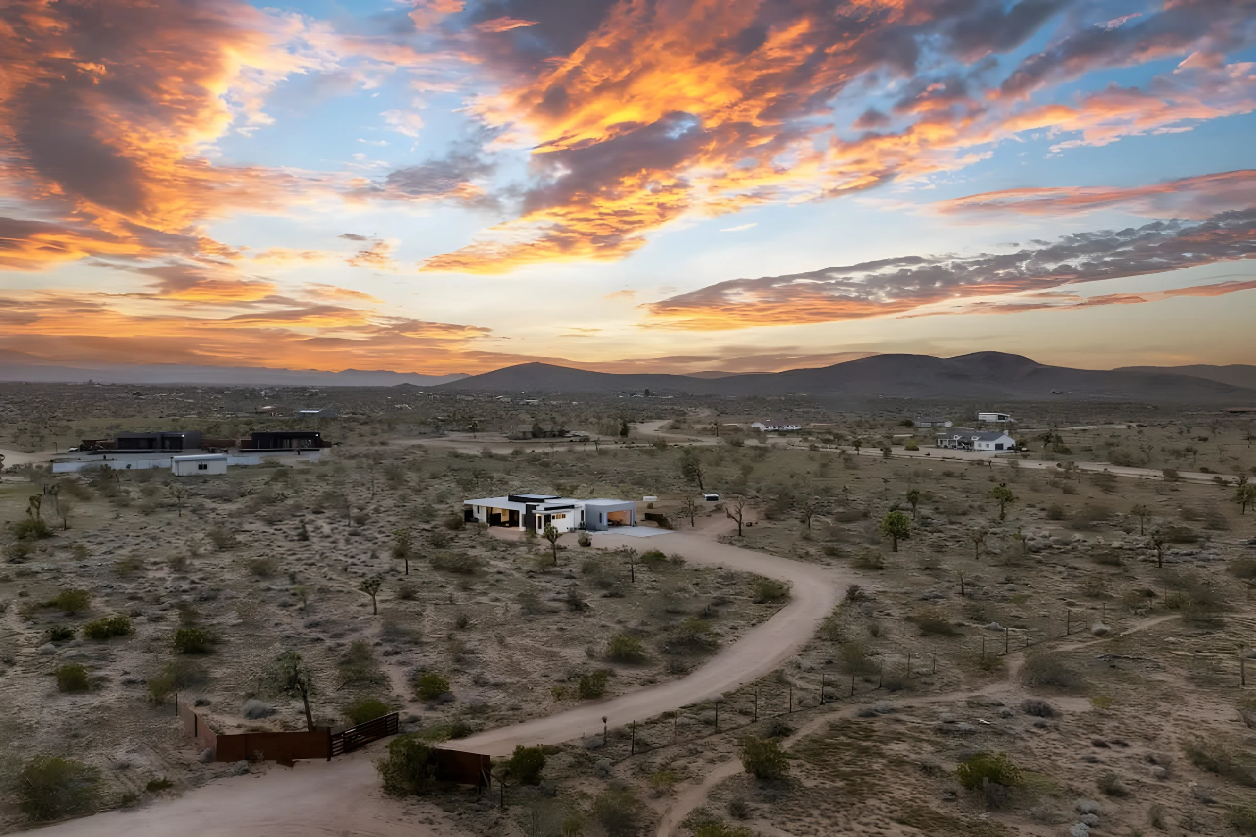 Wander Joshua Tree Aurora #5