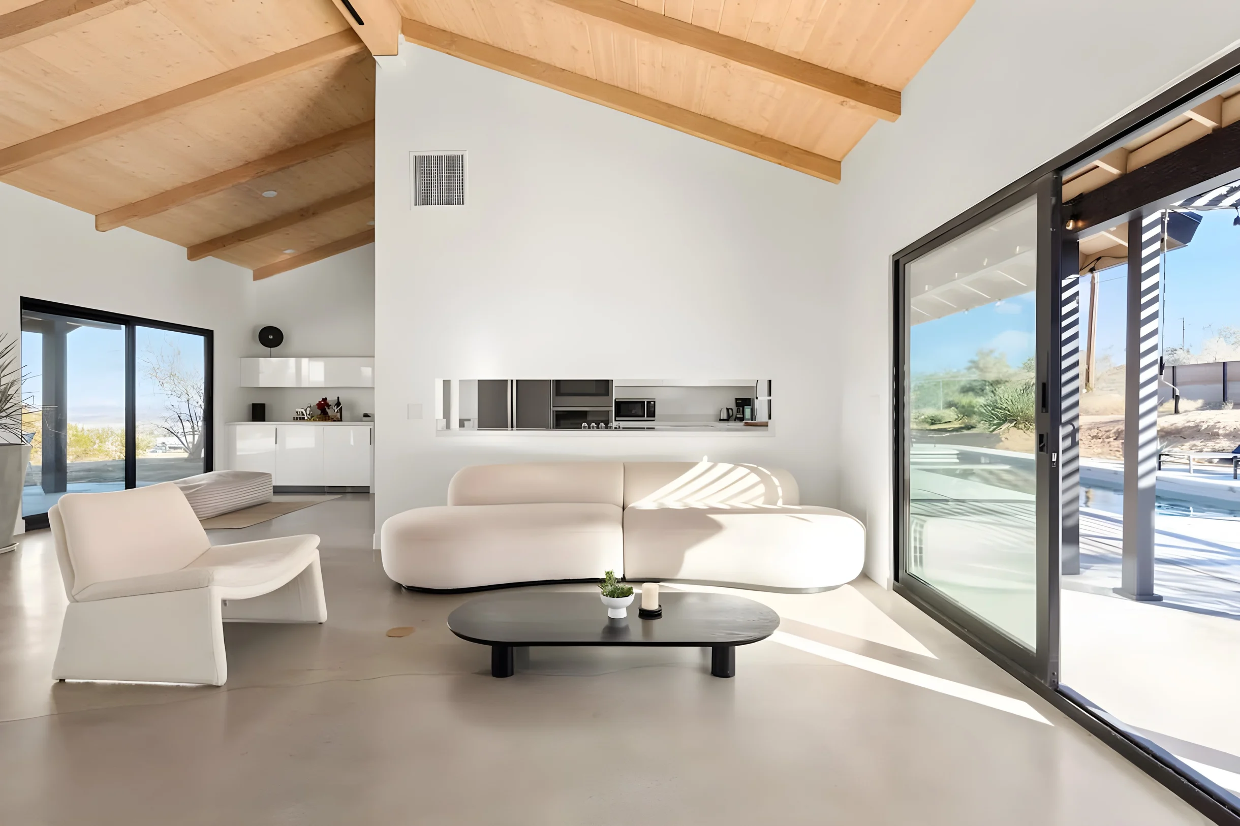 Wander Joshua Tree Twilight #1