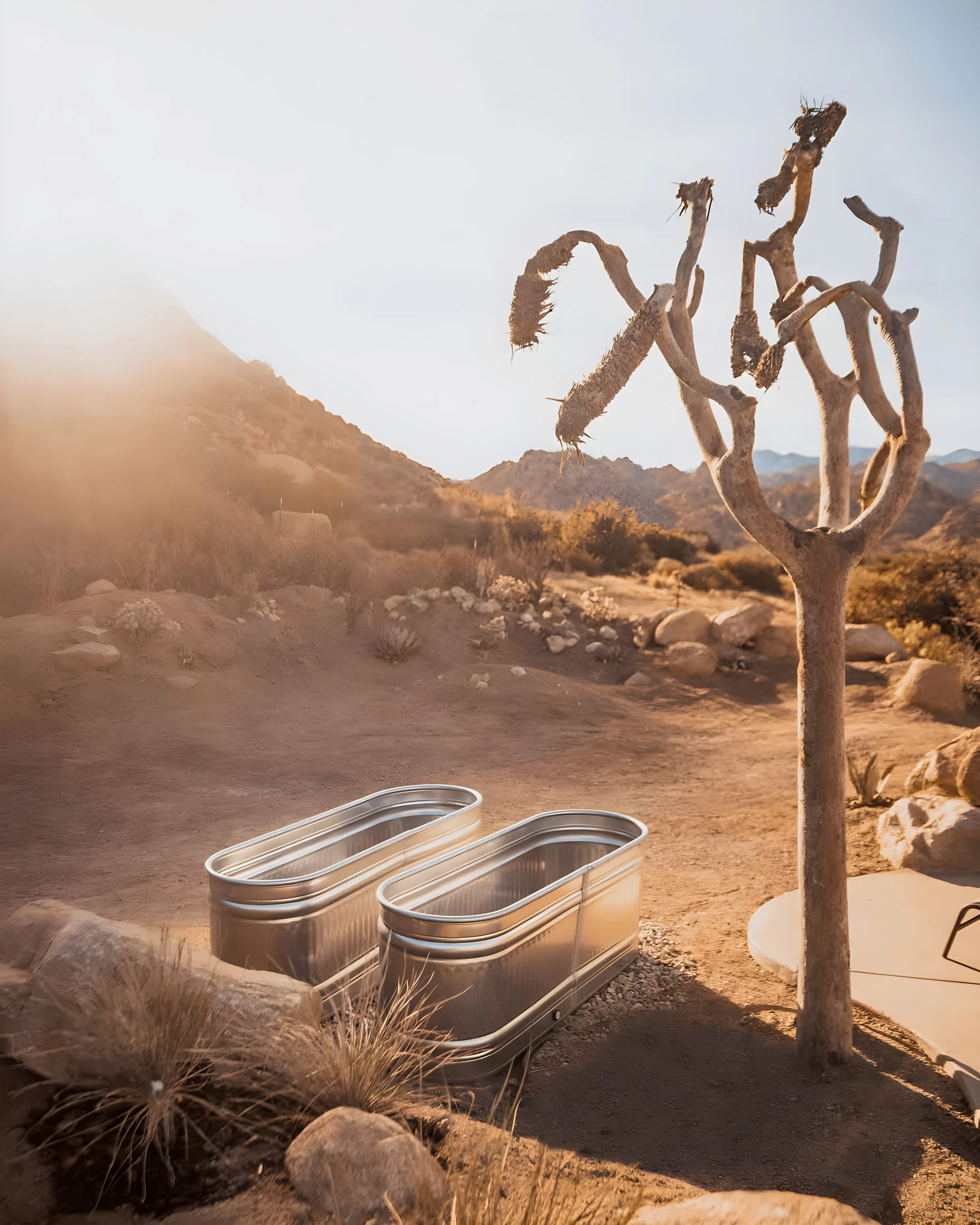 Wander Pioneertown Sawtooth Ridge #60