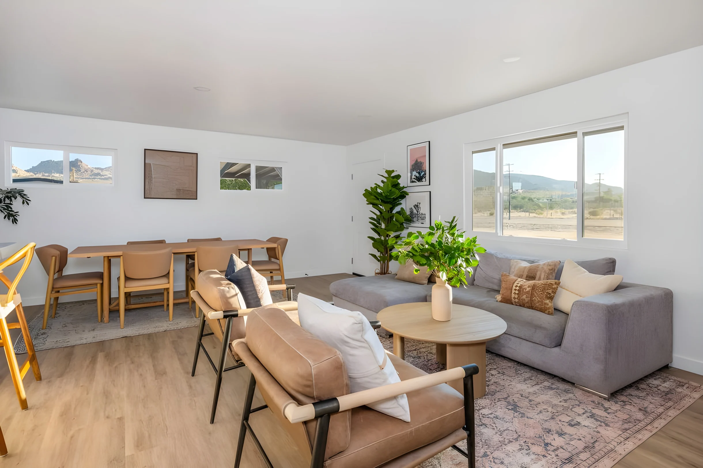 Wander Joshua Tree Mirageview #46