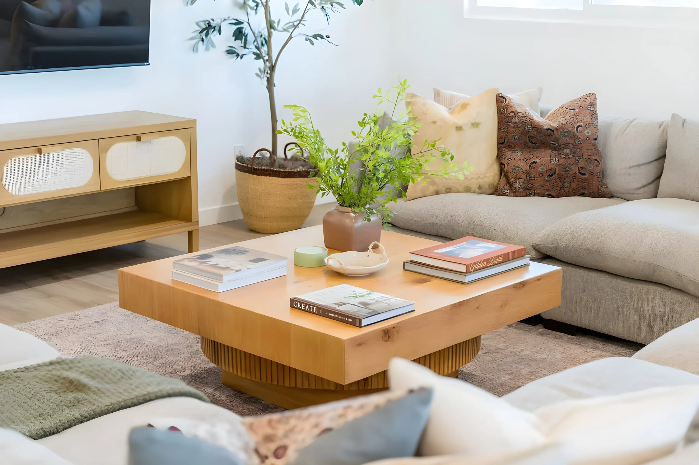 Wander Joshua Tree Mirageview #54