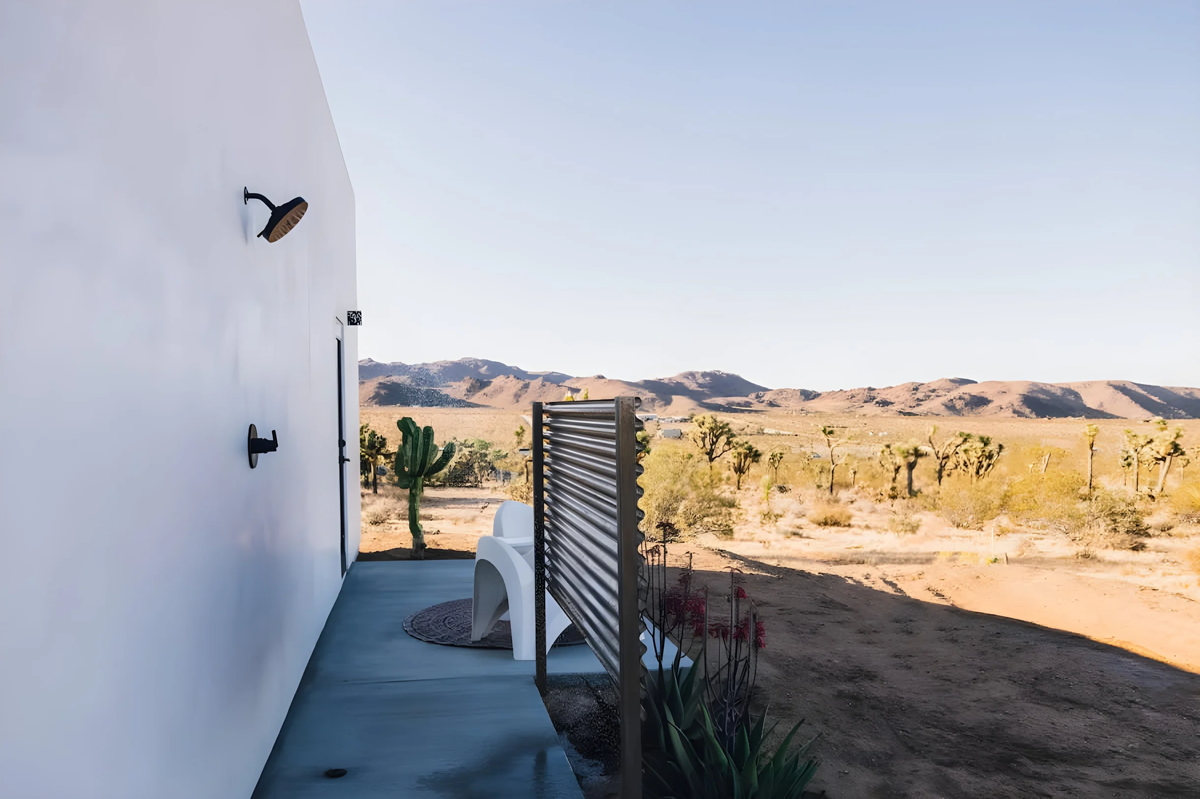 Wander Joshua Tree Arroya #35