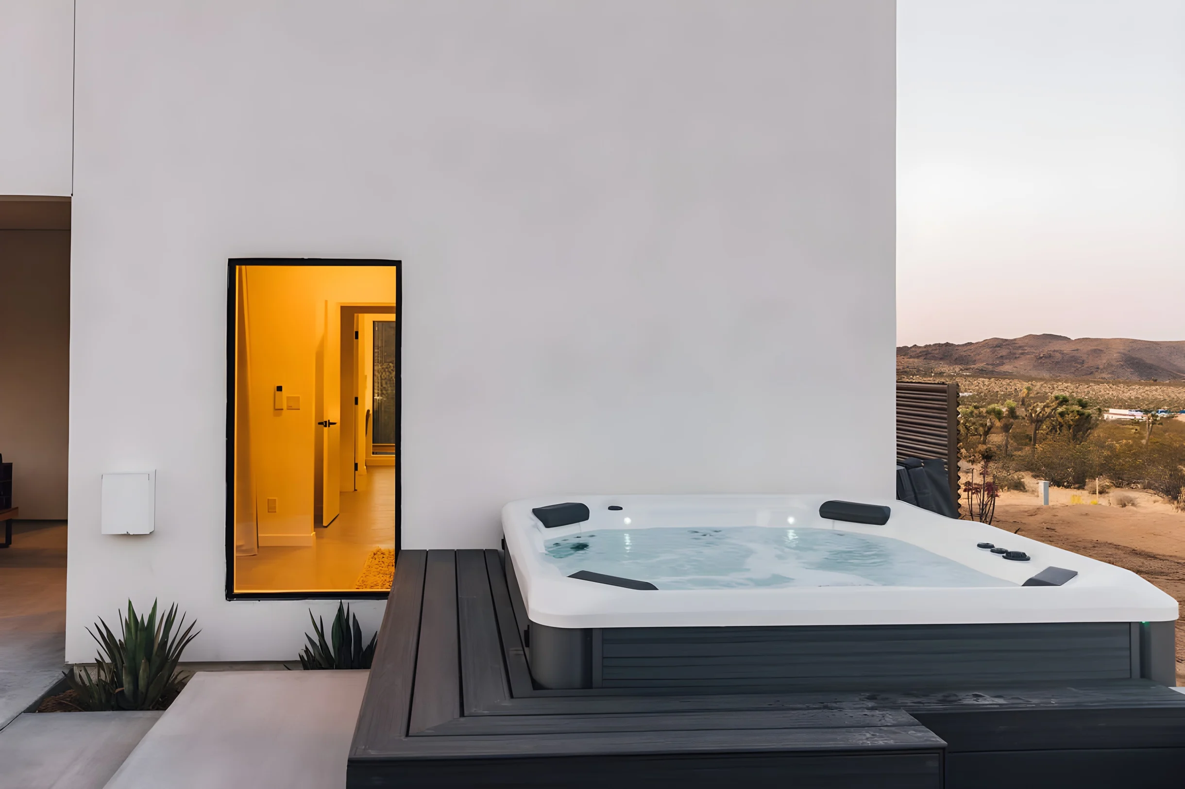 Wander Joshua Tree Arroya #32