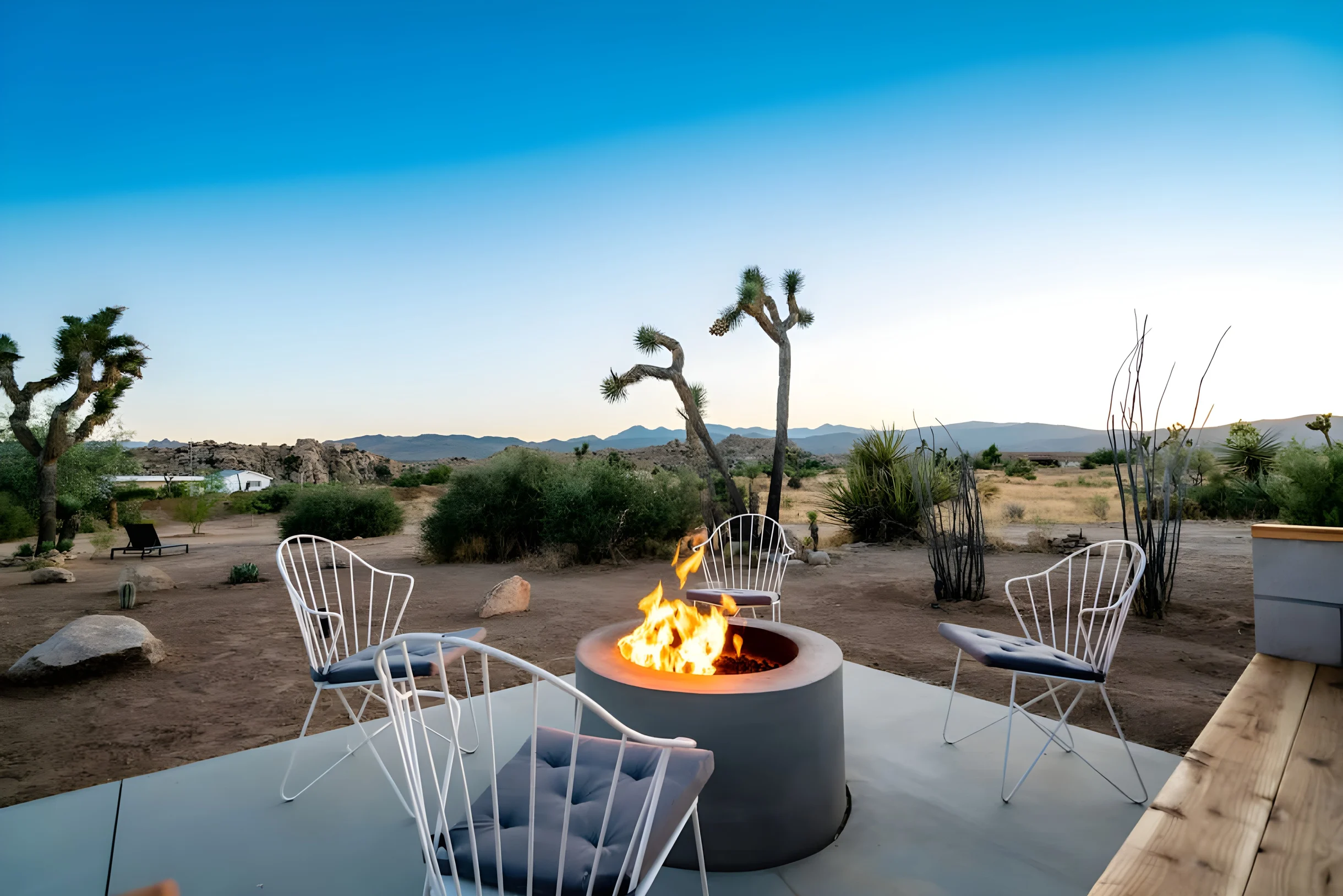 Wander Pioneertown Sagebrush #26