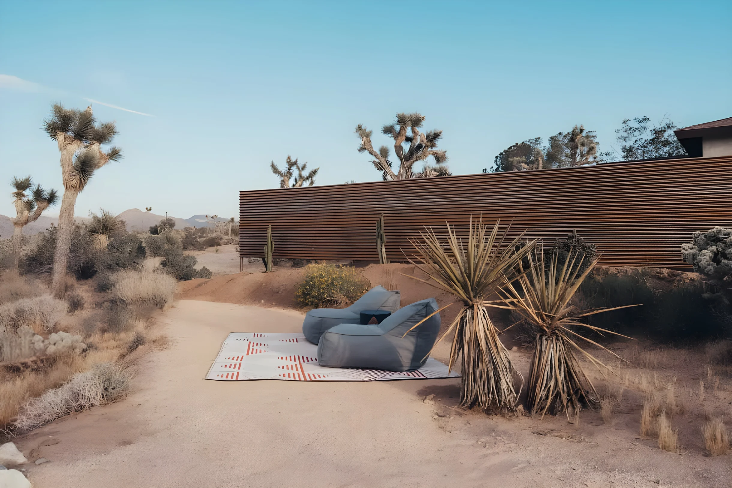 Wander Joshua Tree Arroya #30