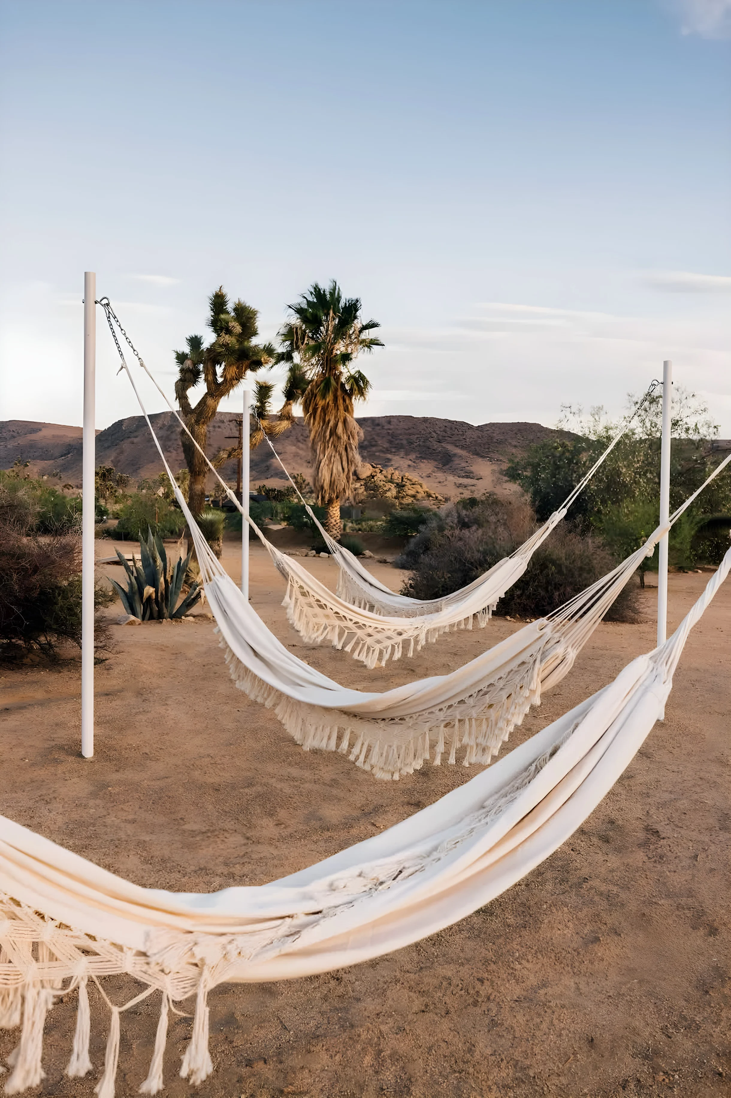 Wander Pioneertown Sagebrush #34