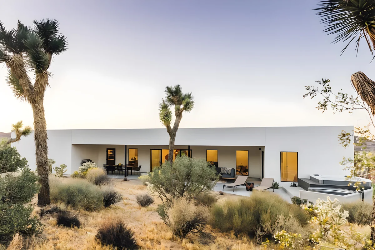 Wander Joshua Tree Arroya