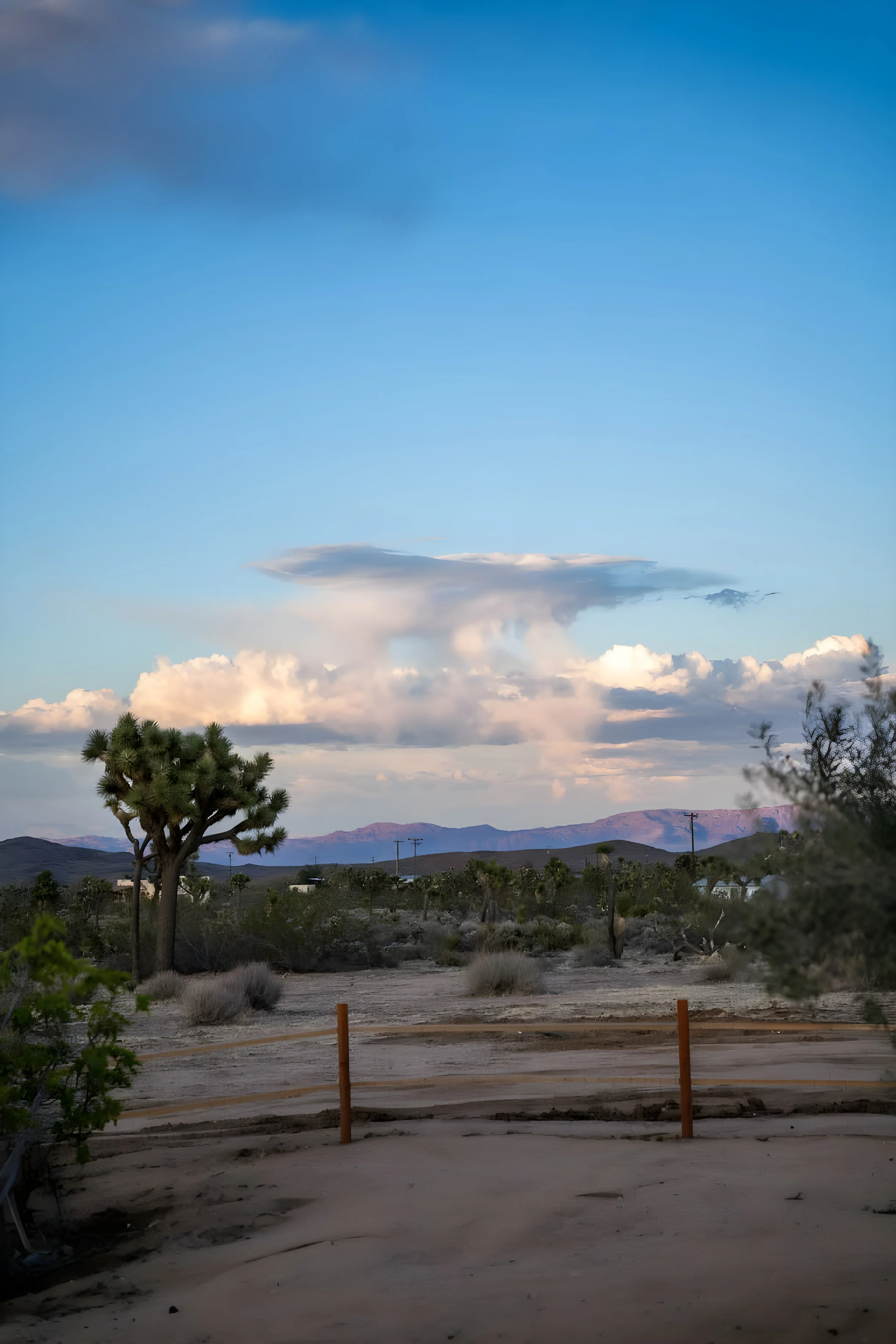 Wander Yucca Valley Bluffs #52