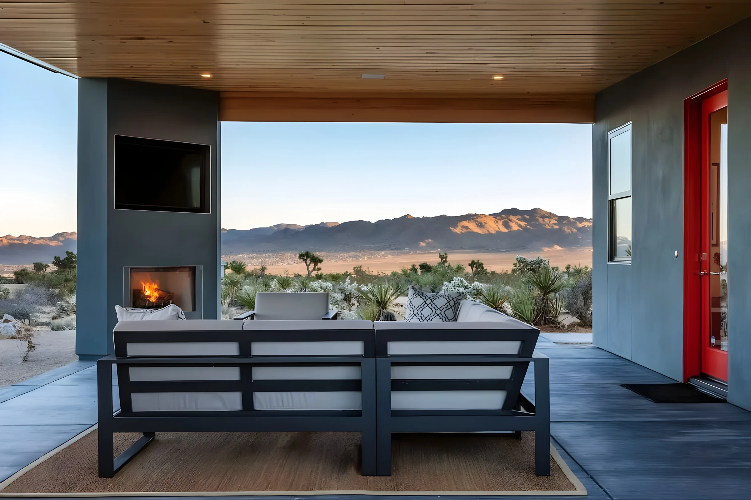 Wander Yucca Desert #29