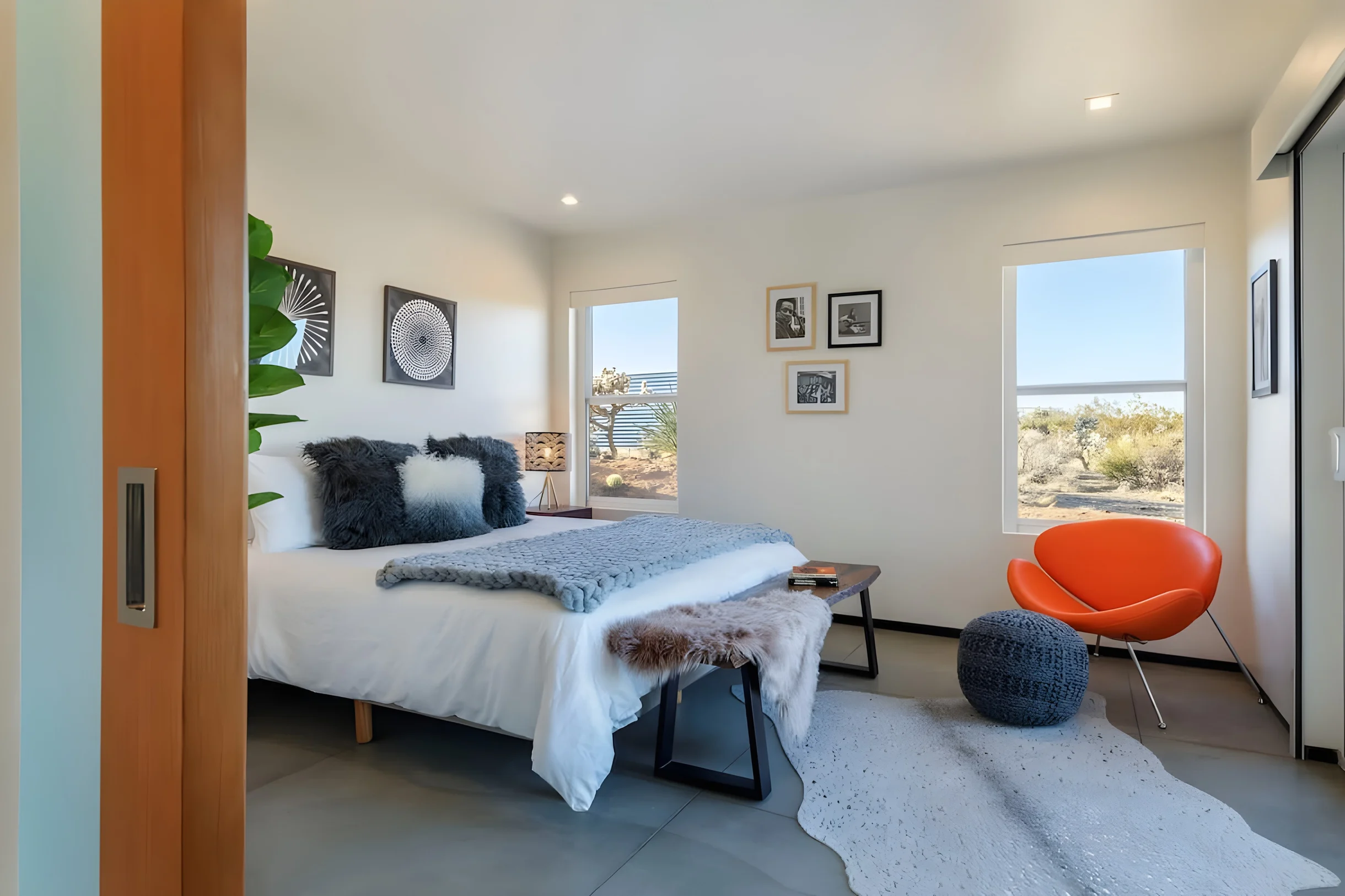 Wander Yucca Desert #19