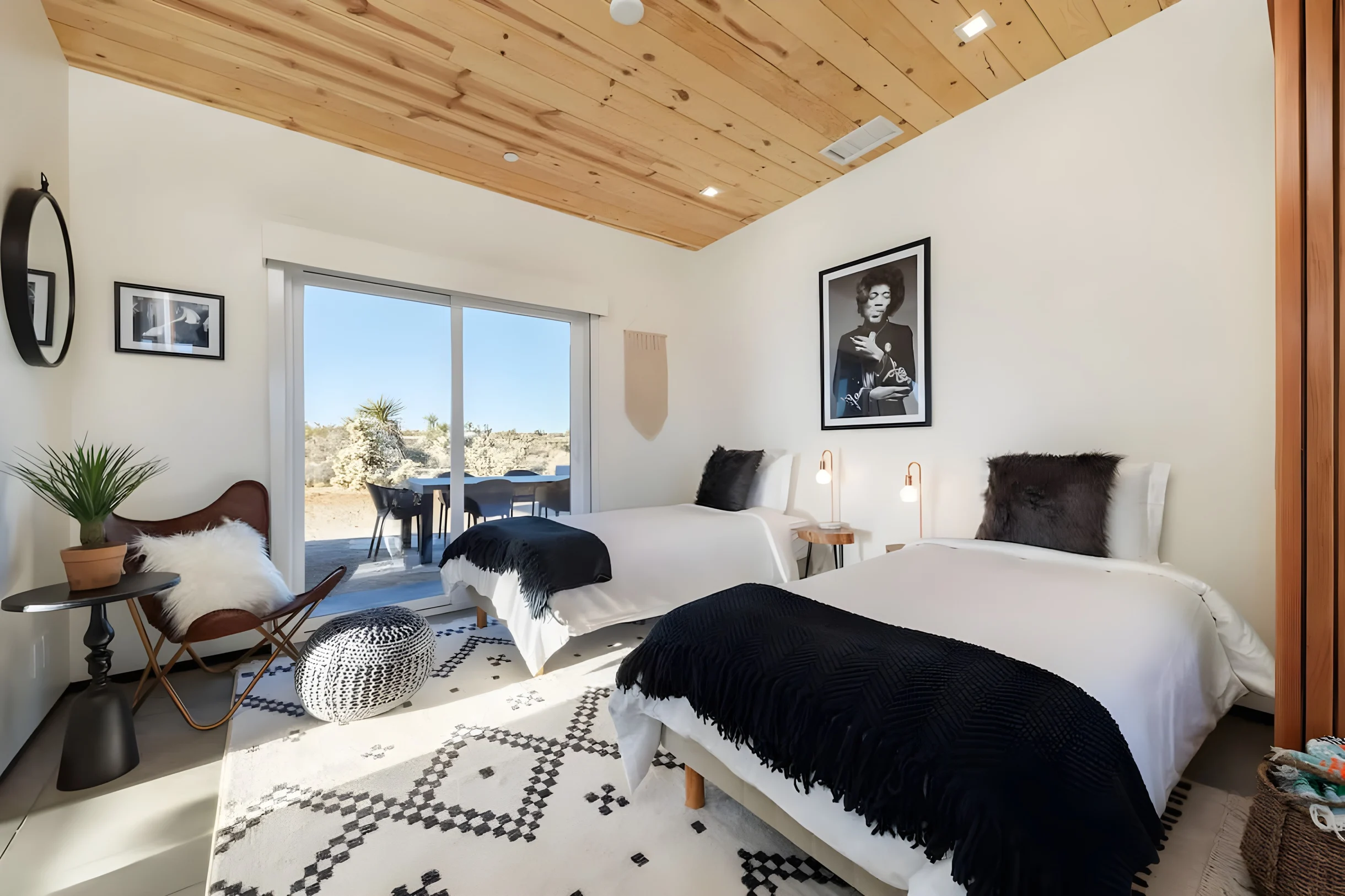 Wander Yucca Desert #13