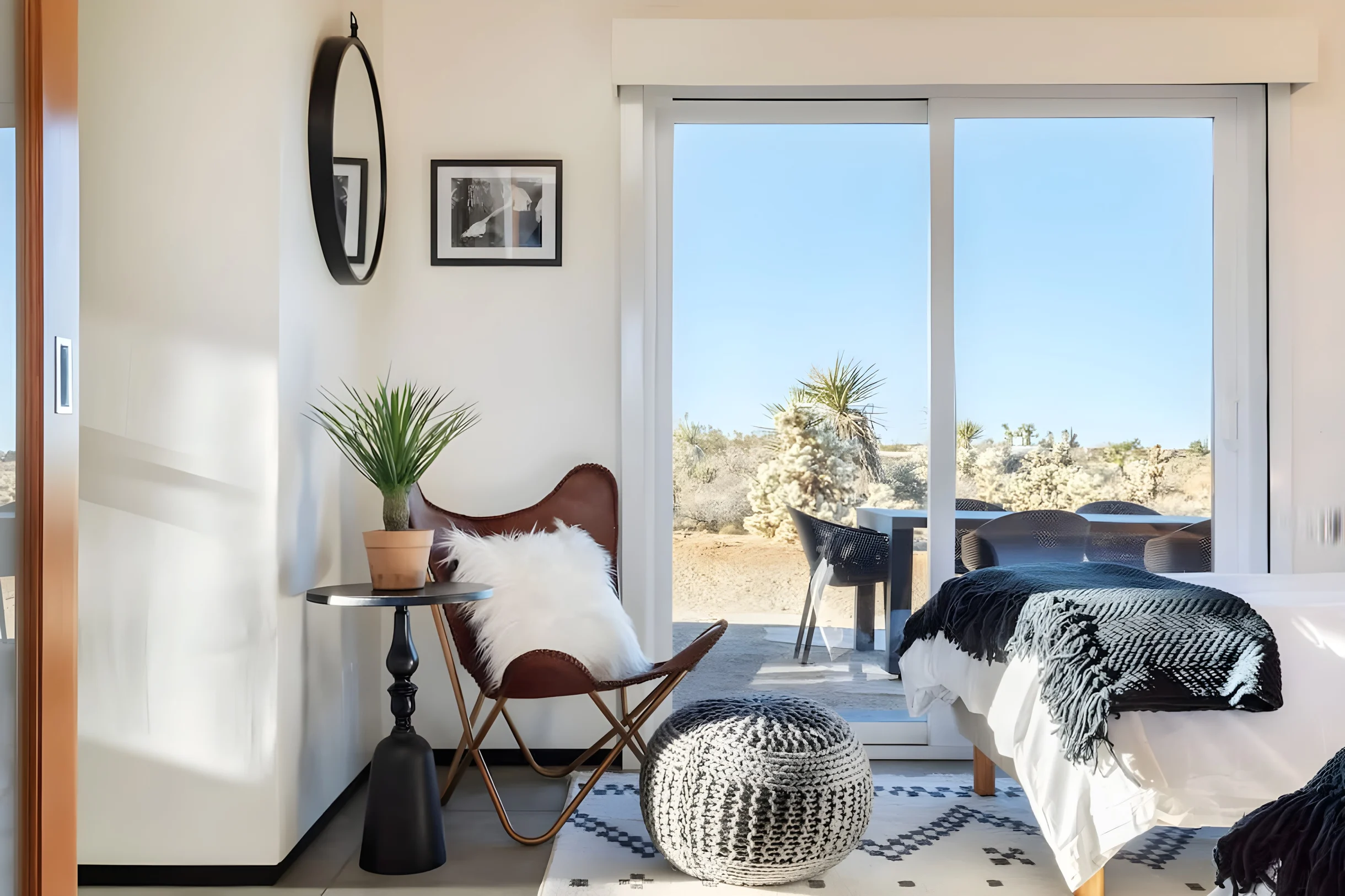 Wander Yucca Desert #17