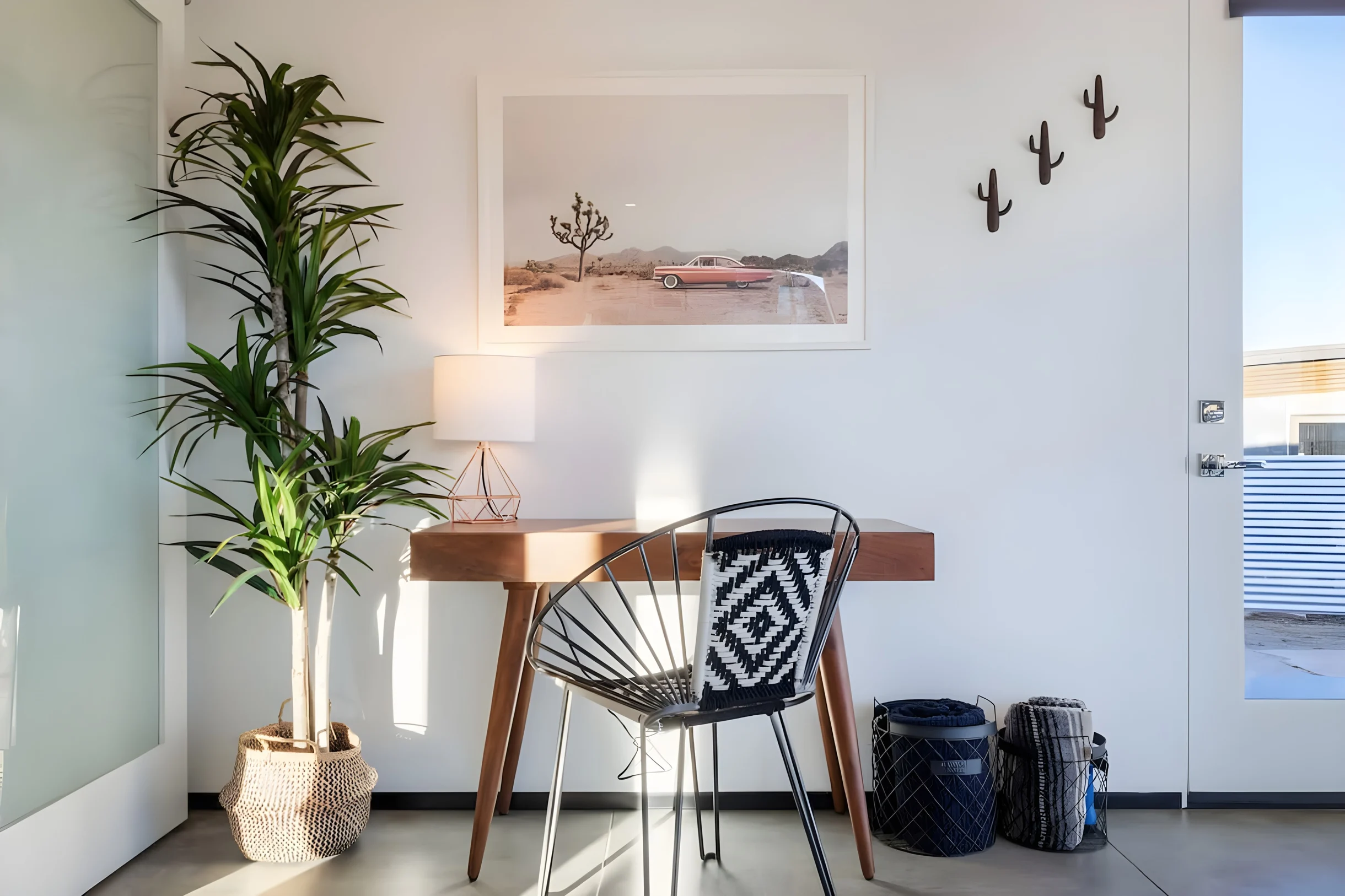 Wander Yucca Desert #9