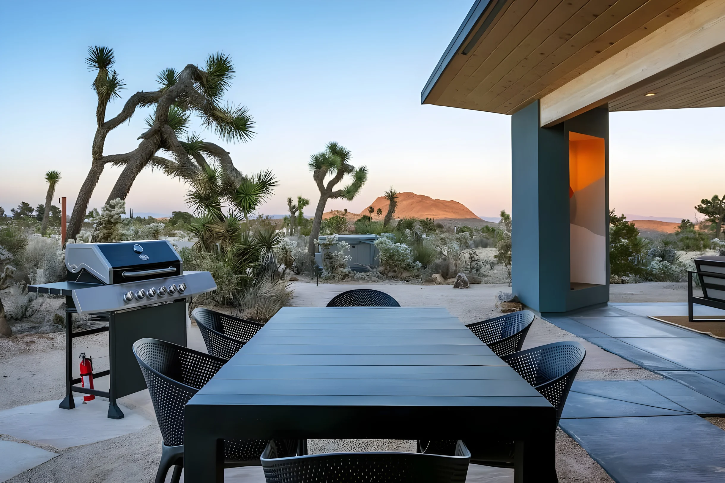 Wander Yucca Desert #33