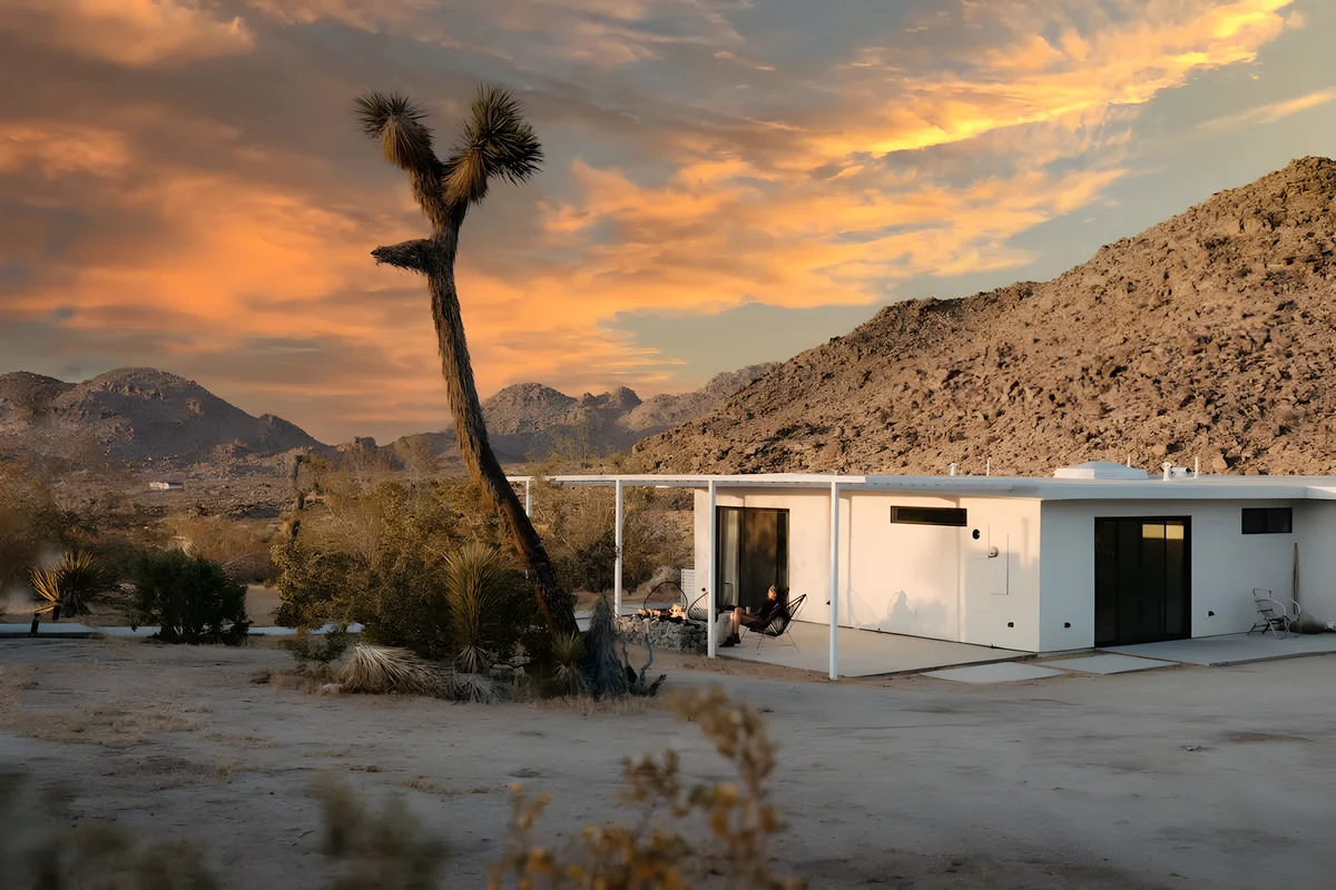 Wander Joshua Tree Shadows
