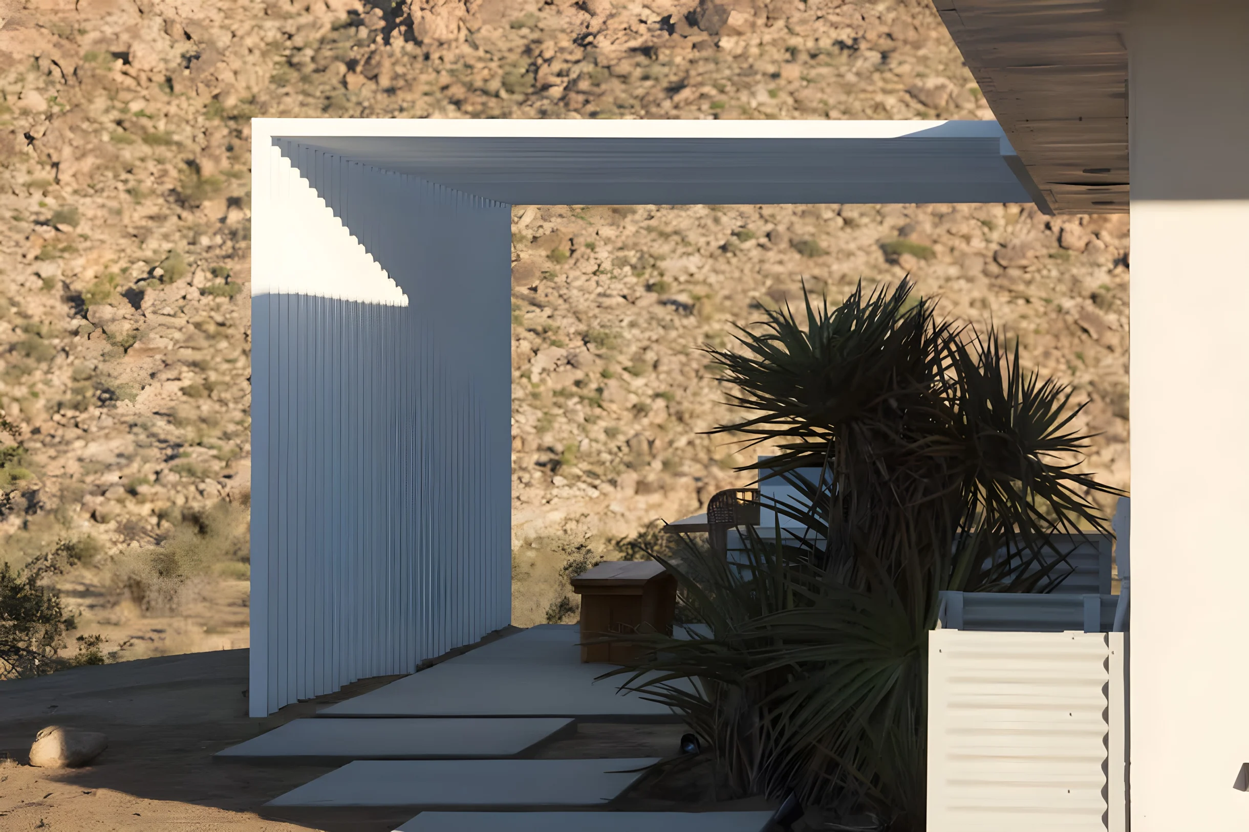 Wander Joshua Tree Shadows #16