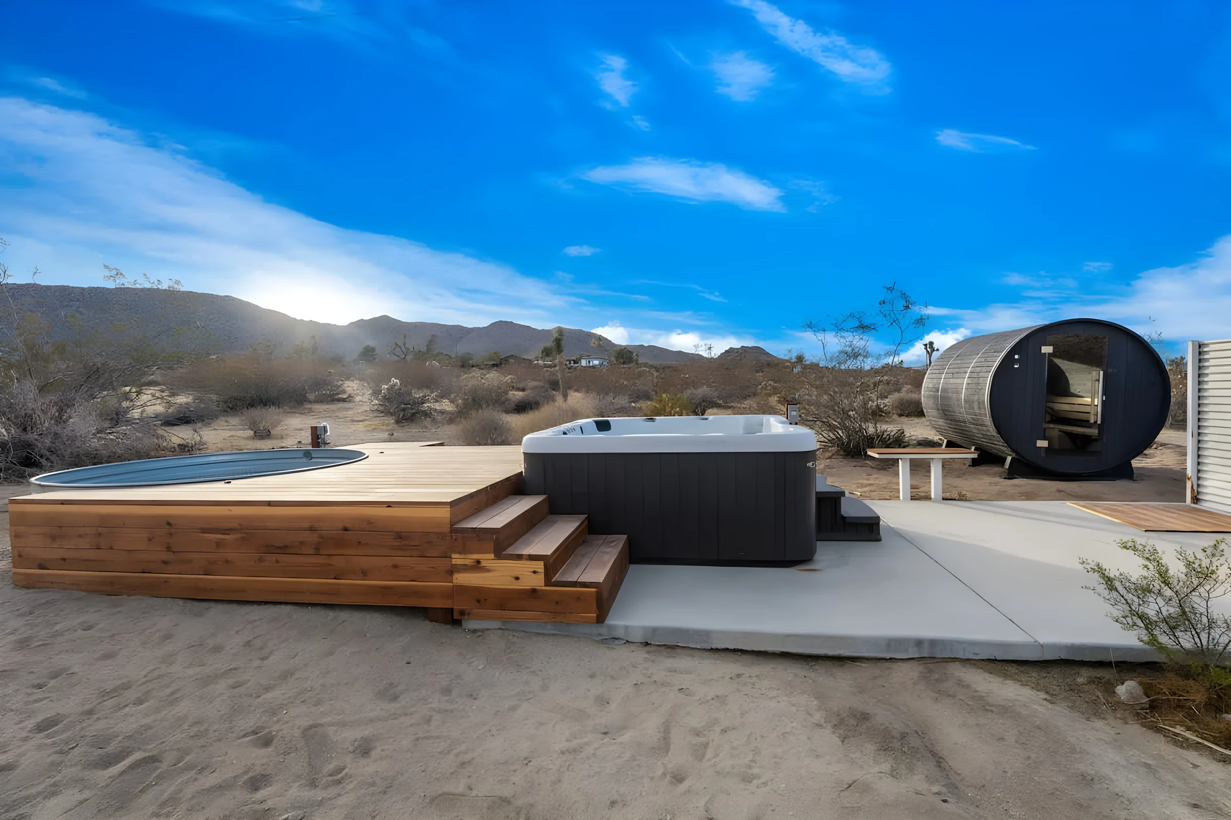 Wander Joshua Tree Shadows #20