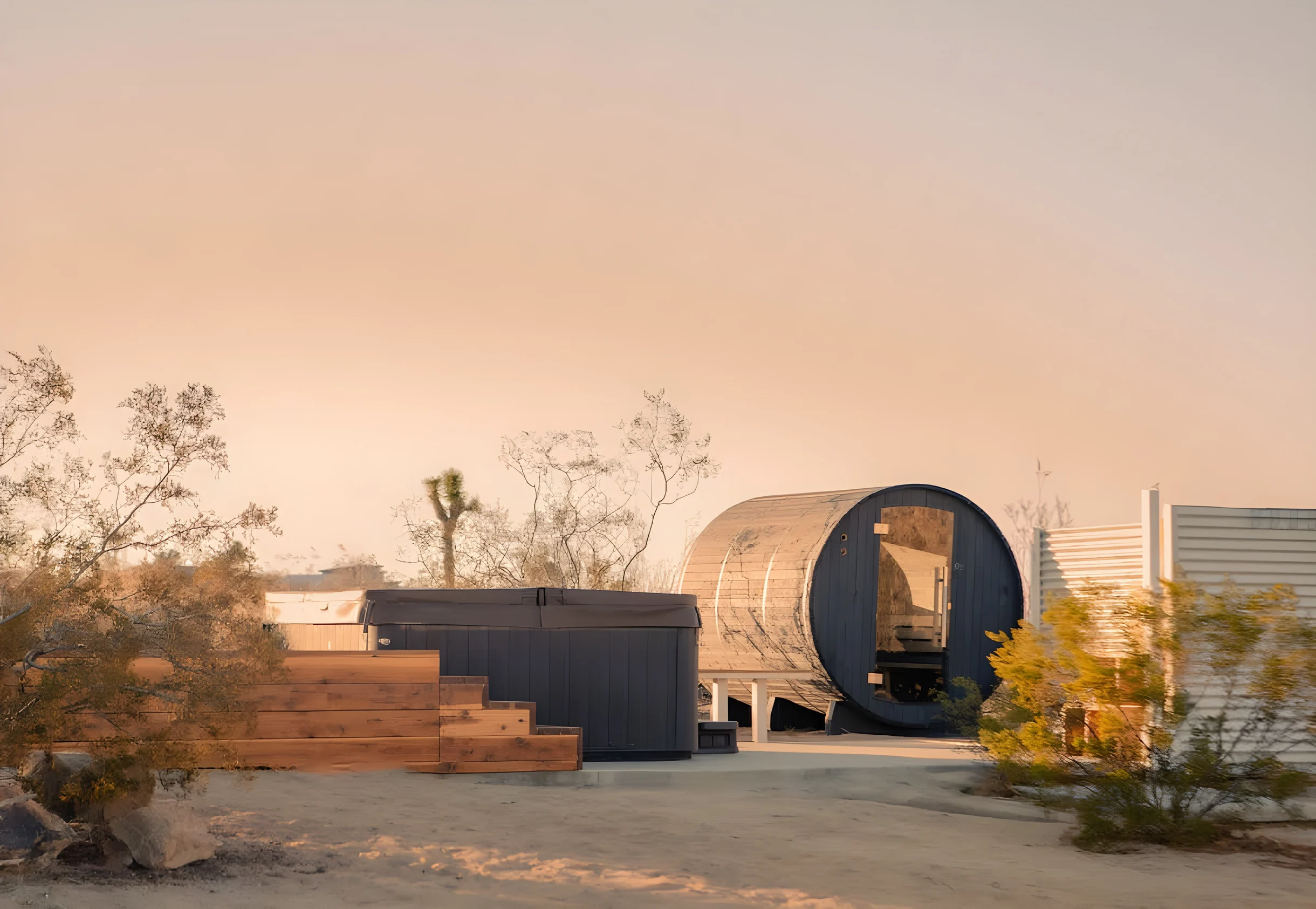 Wander Joshua Tree Shadows #17