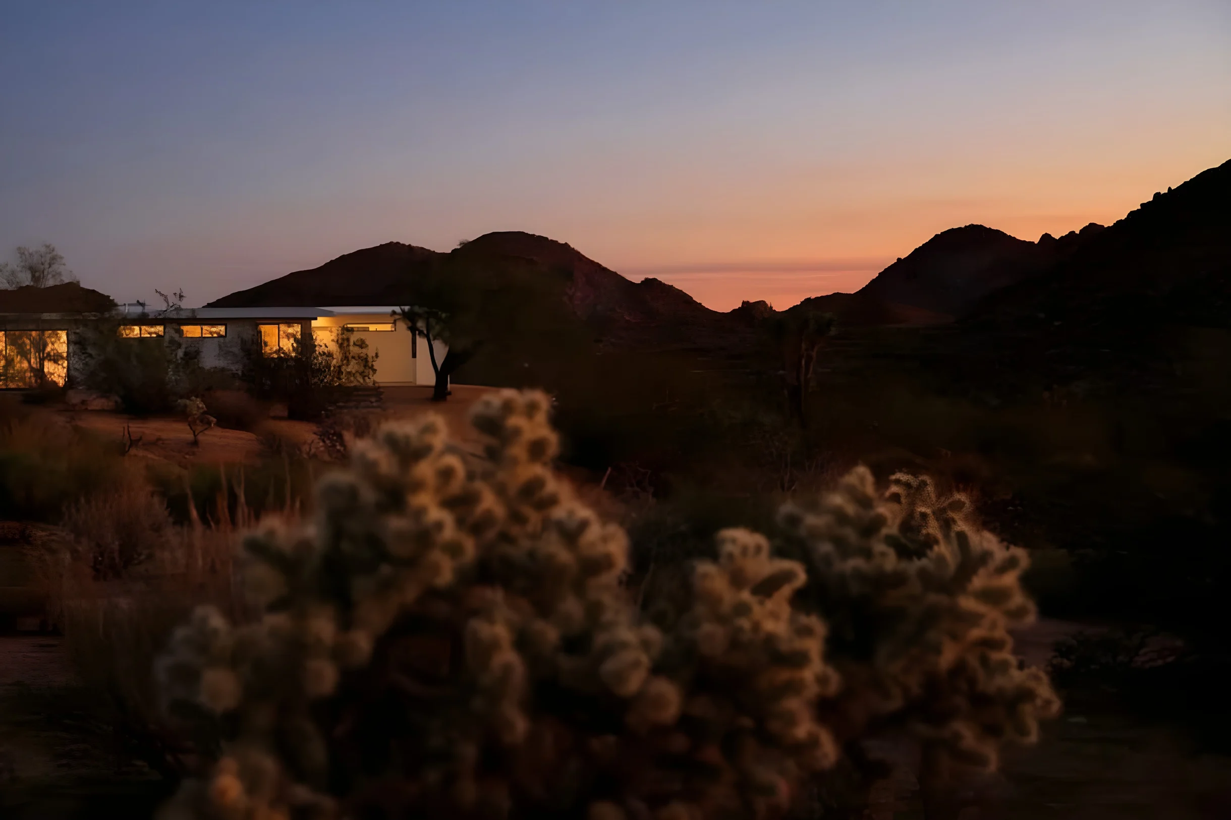 Wander Joshua Tree Shadows #5