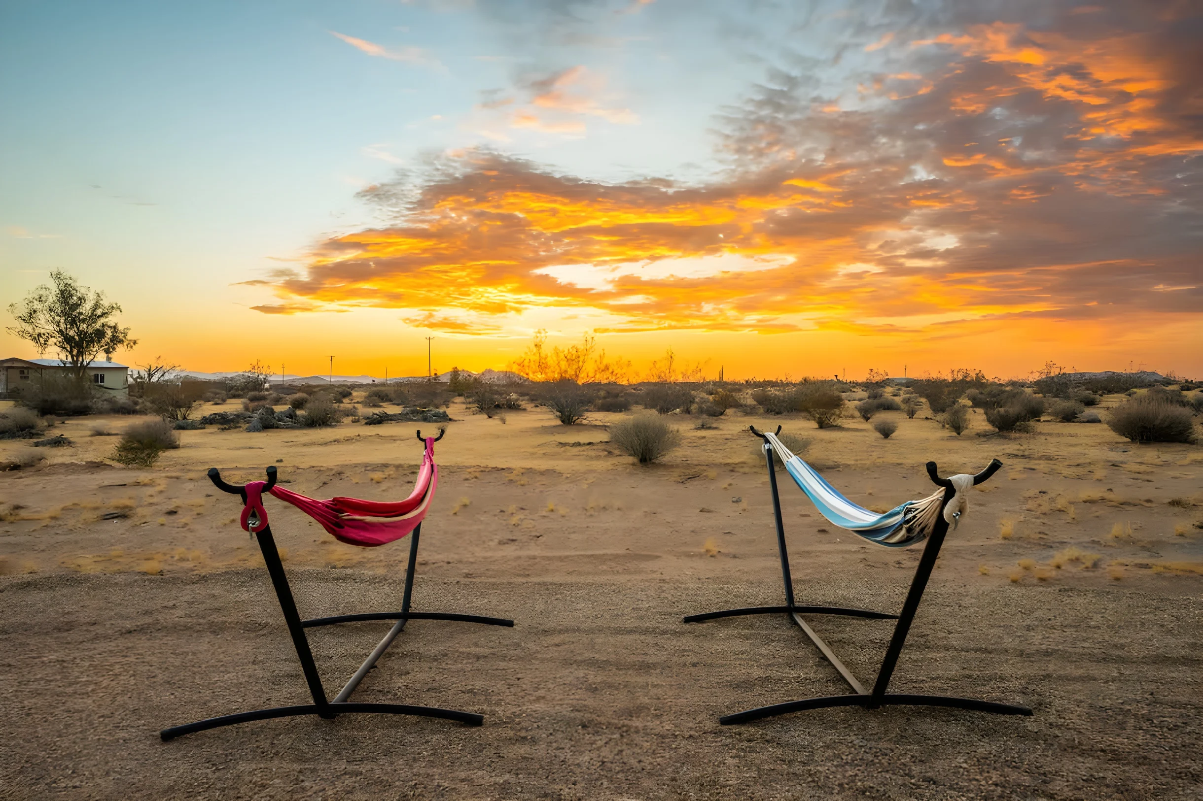Wander Joshua Tree Panoramic #46