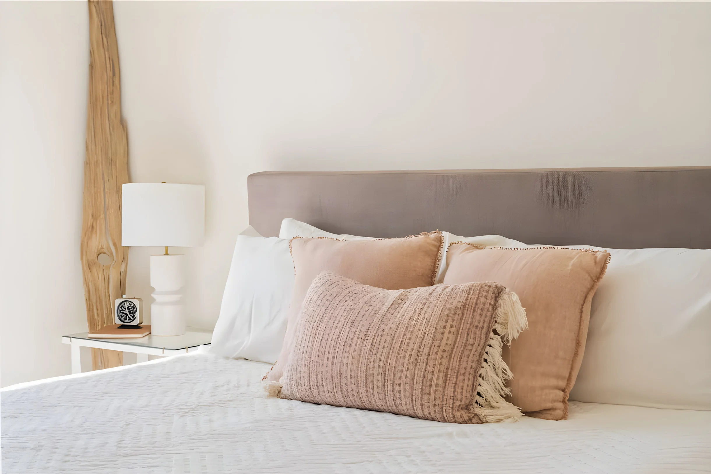 Wander Joshua Tree Panoramic #30