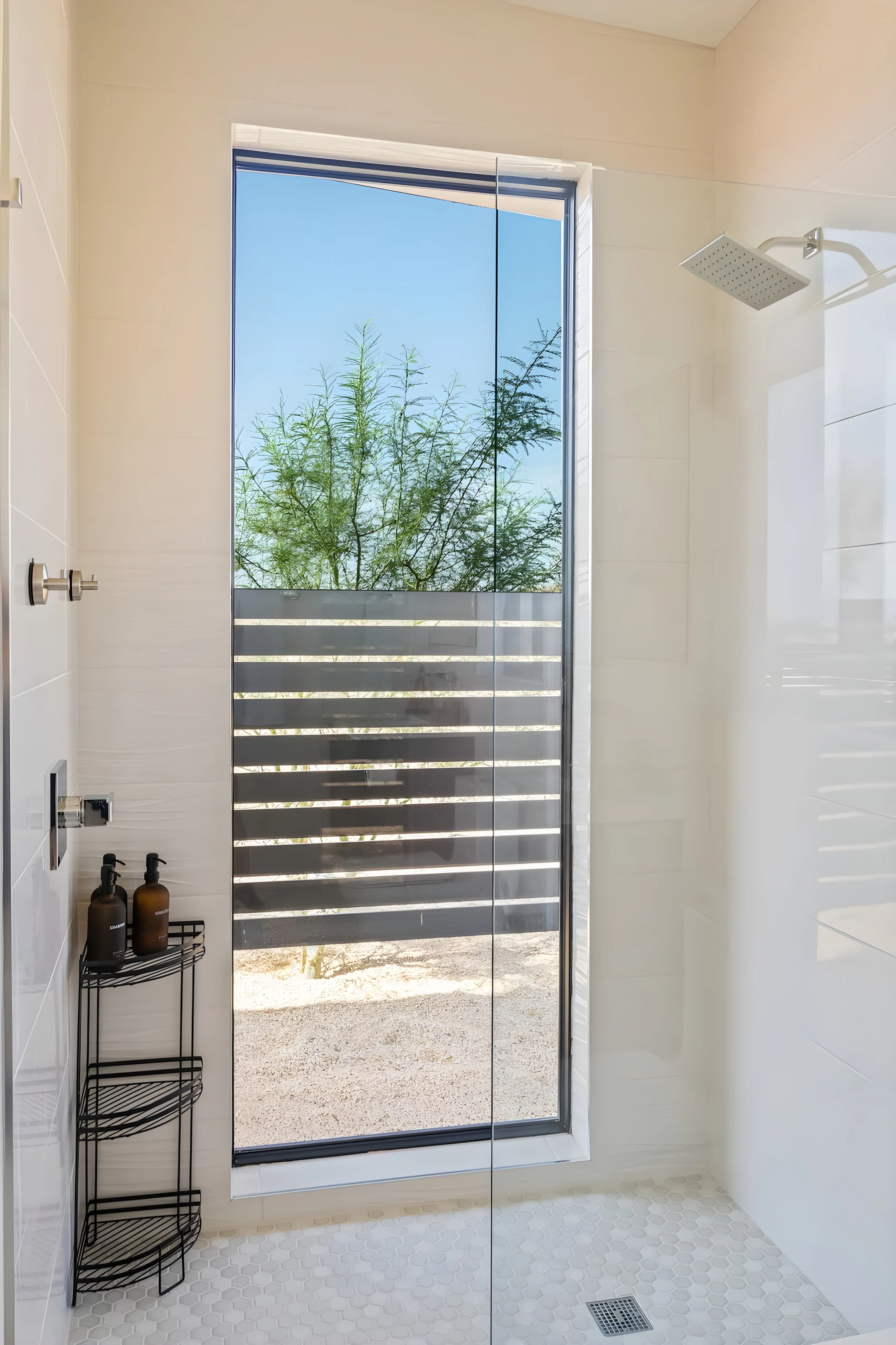 Wander Joshua Tree Panoramic #21