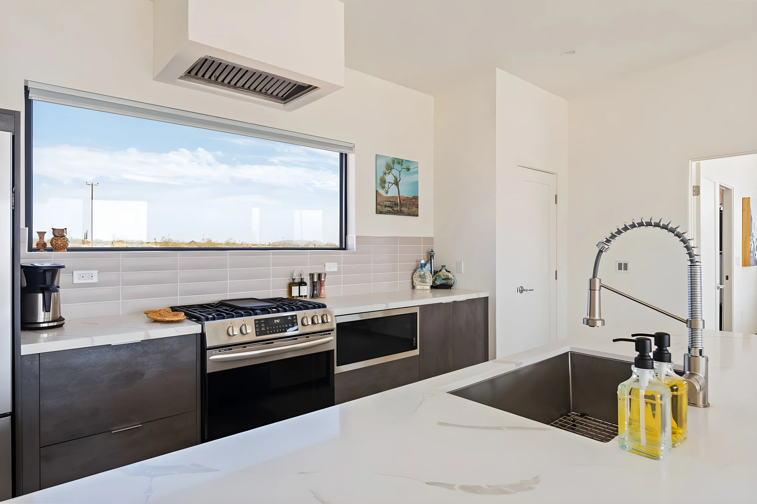 Wander Joshua Tree Panoramic #36