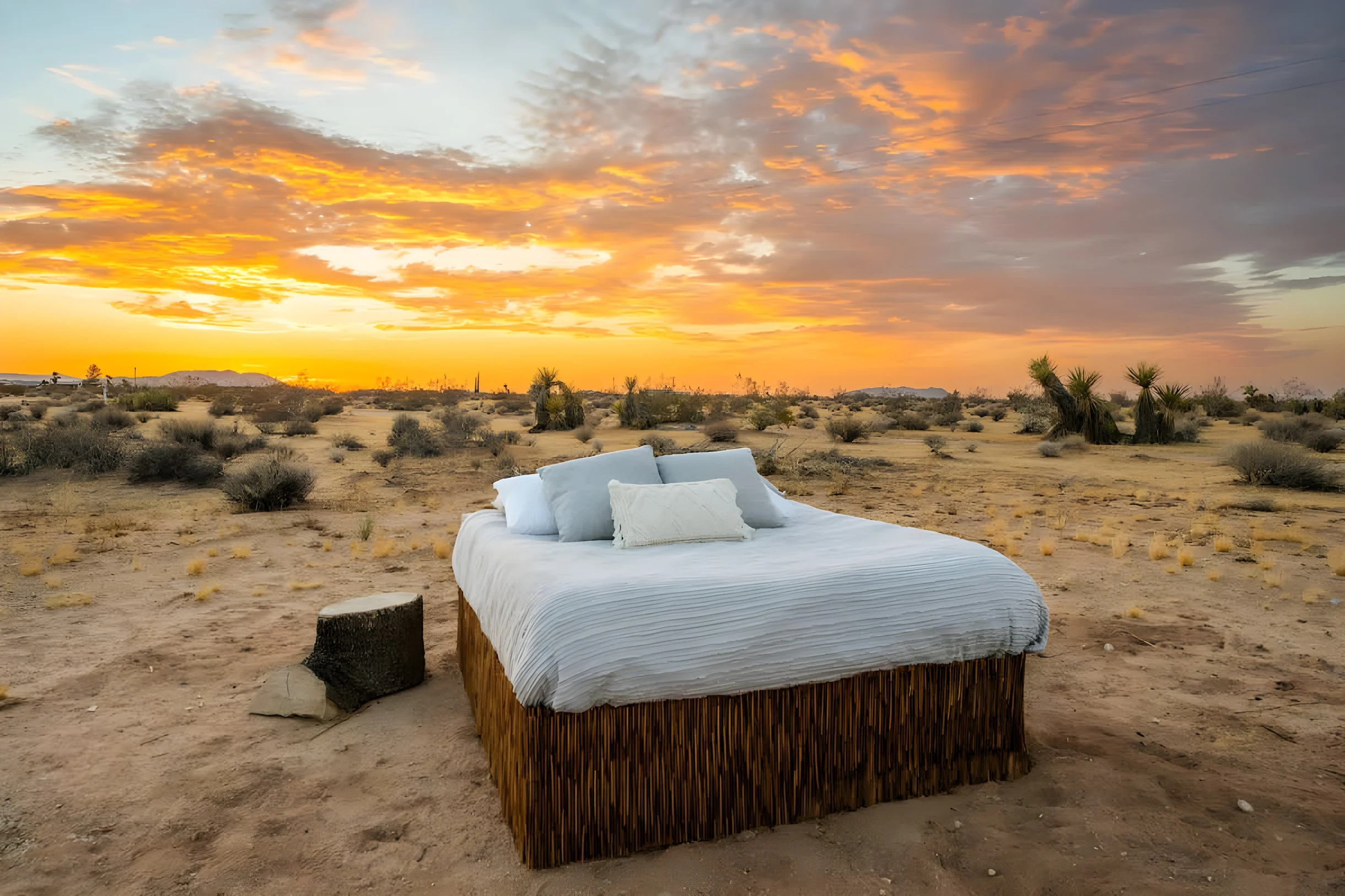 Wander Joshua Tree Panoramic
