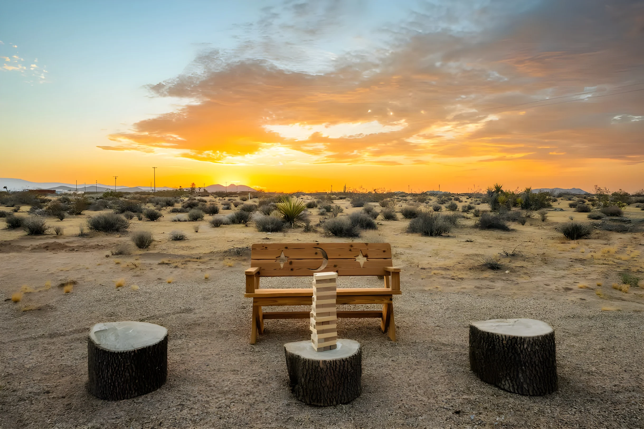 Wander Joshua Tree Panoramic #49