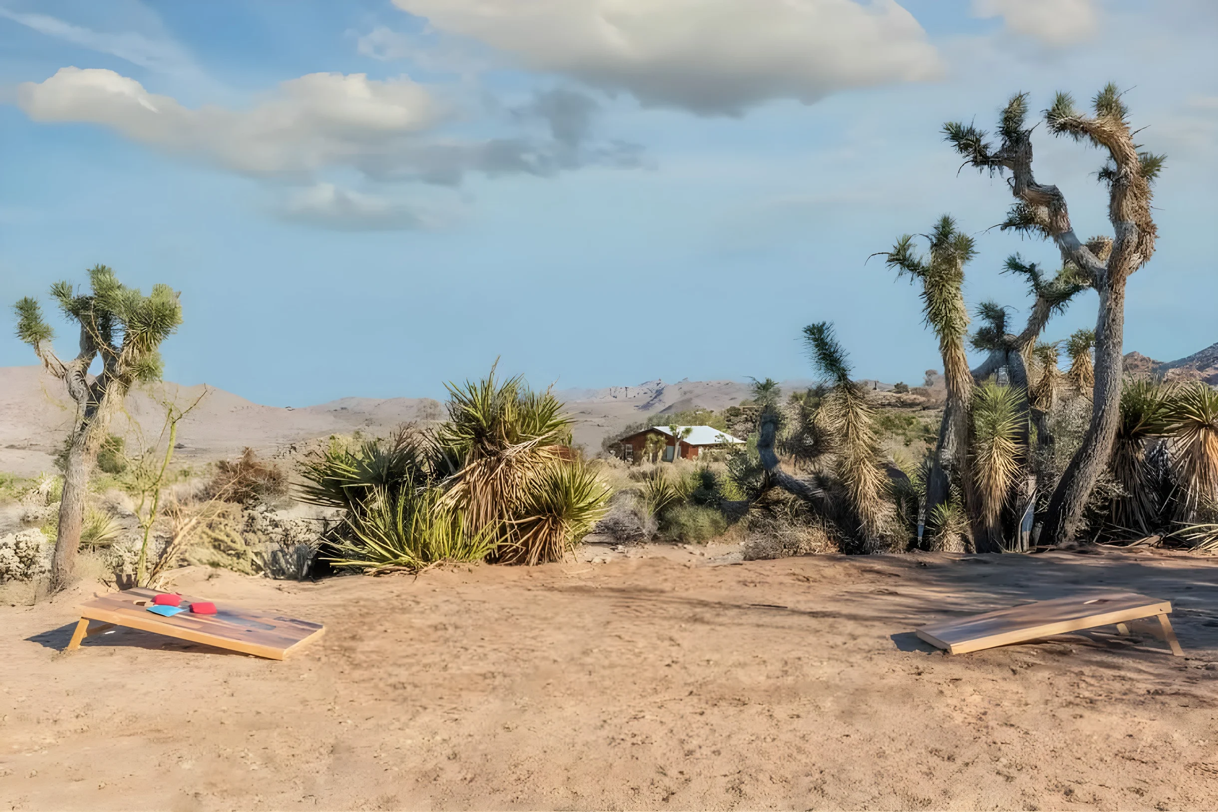 Wander Joshua Sands #31