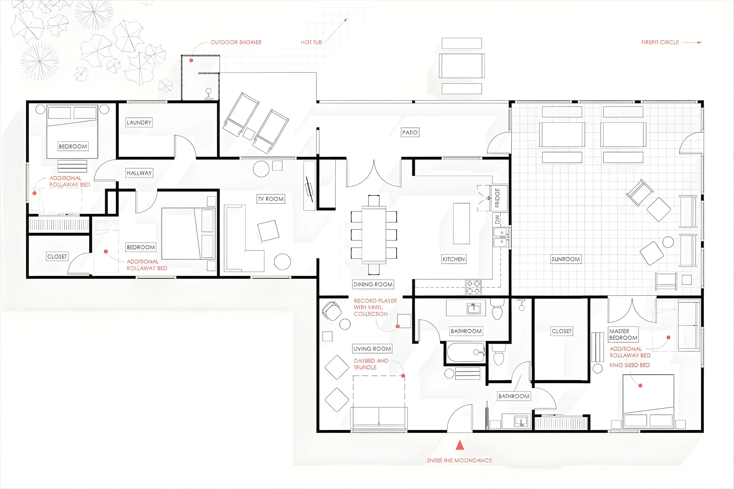 Wander Joshua Tree Starfall