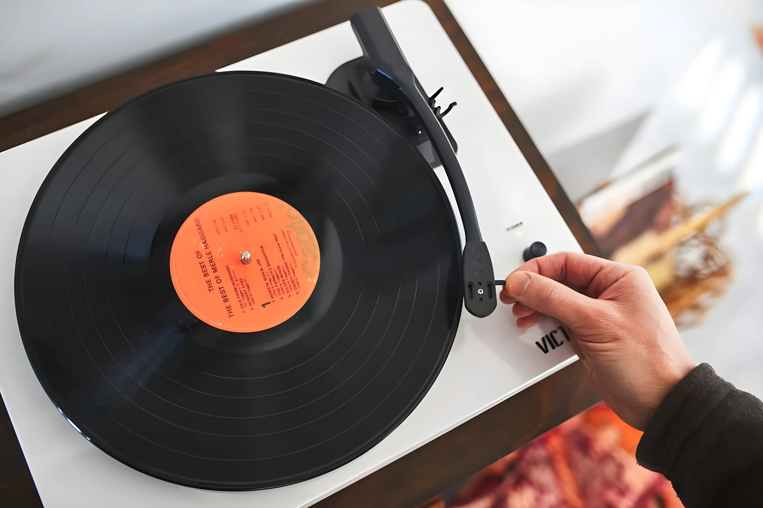 Wander Joshua Tree Starfall #33