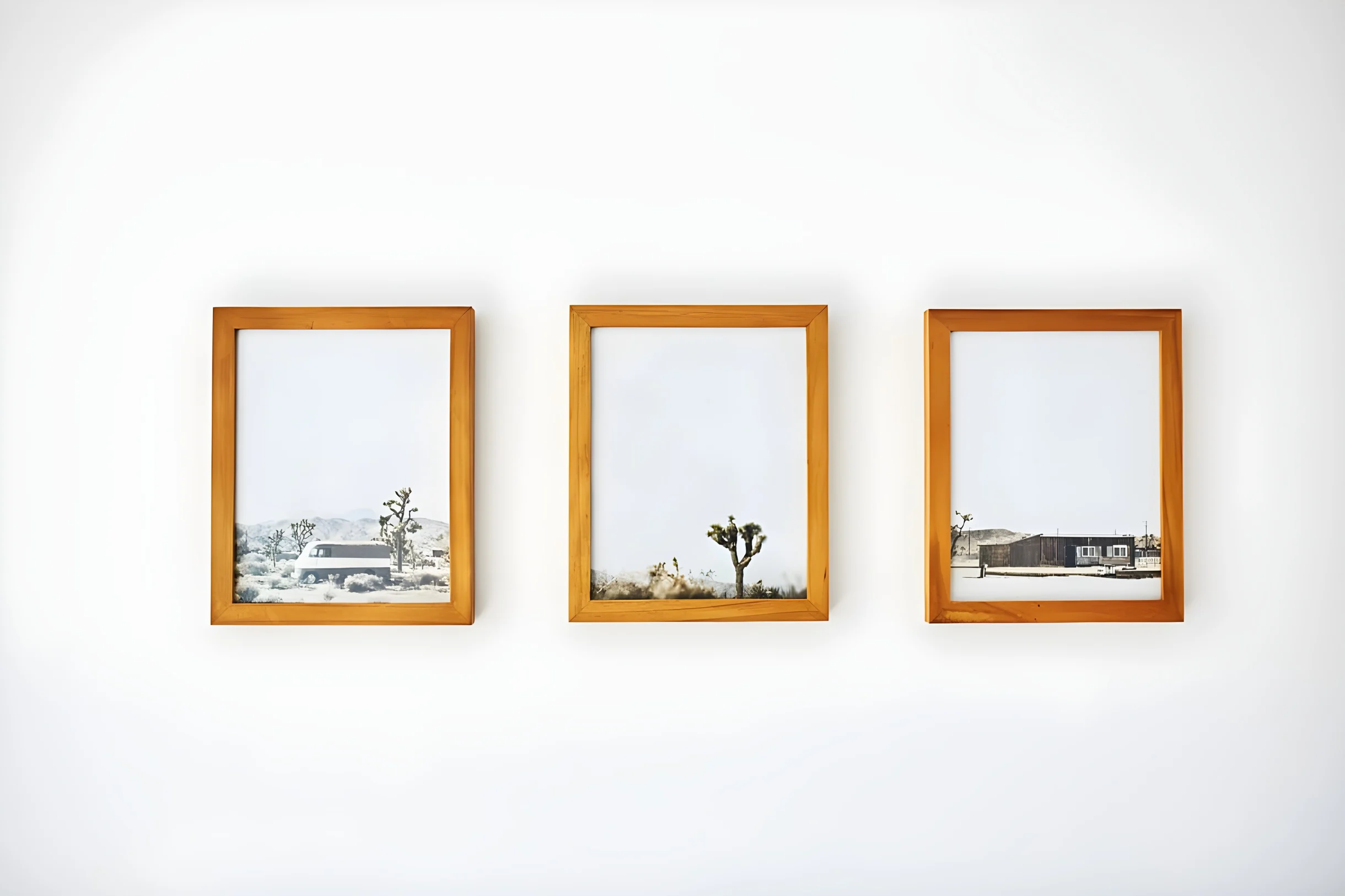 Wander Joshua Tree Starfall #15