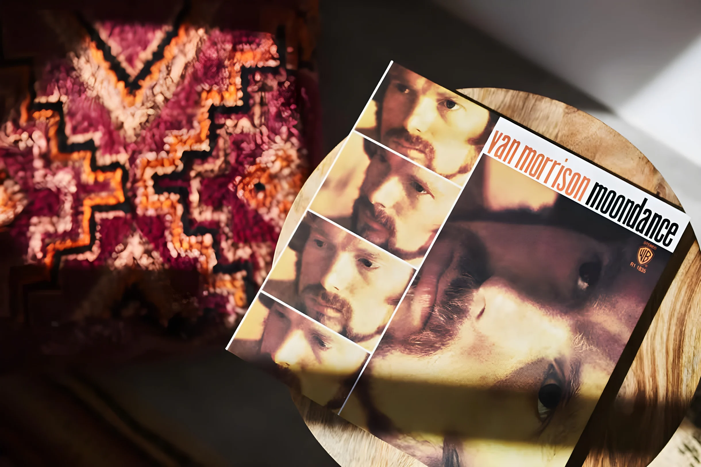 Wander Joshua Tree Starfall #35