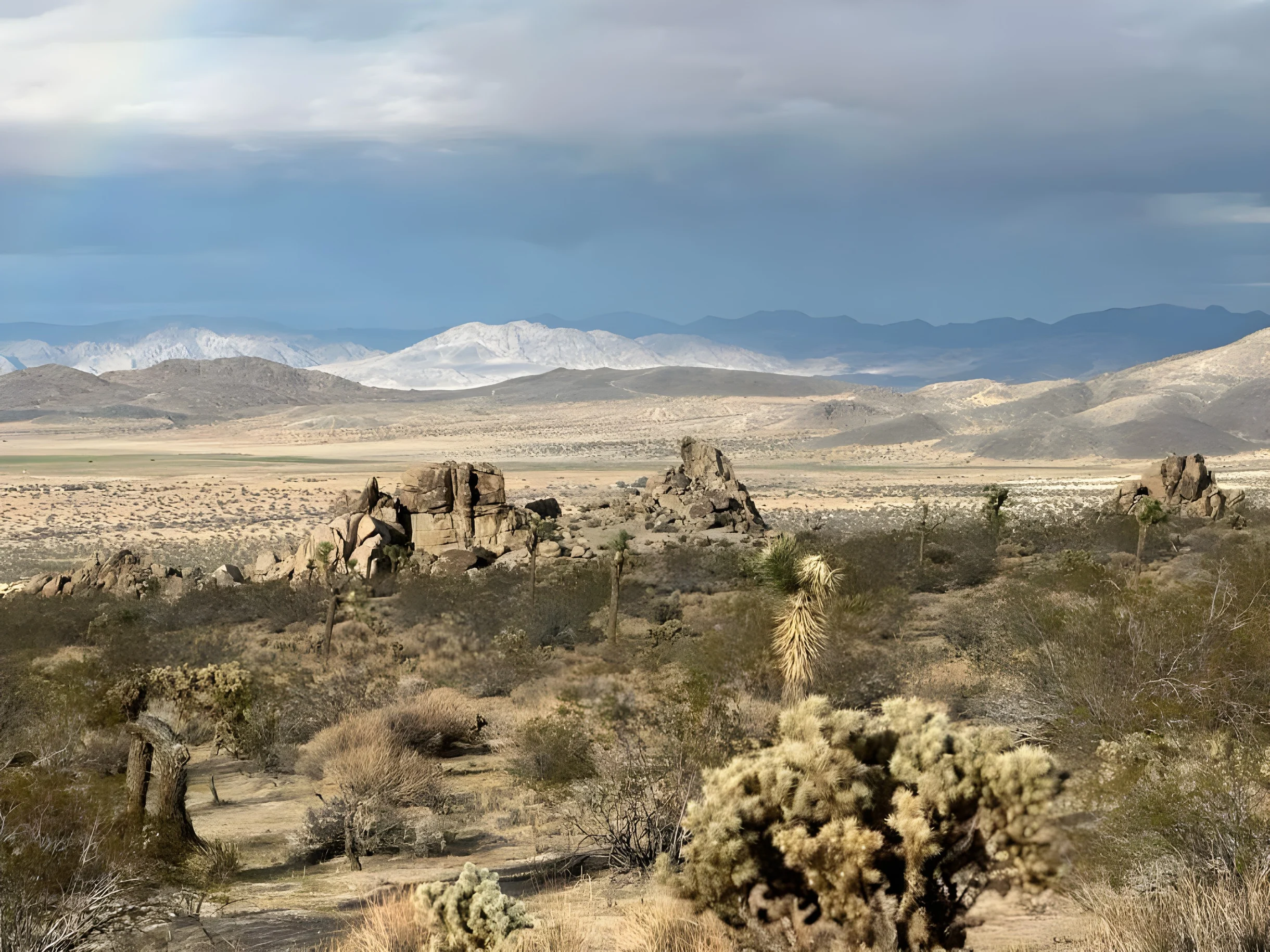 Wander Joshua Tree Moonrise #33