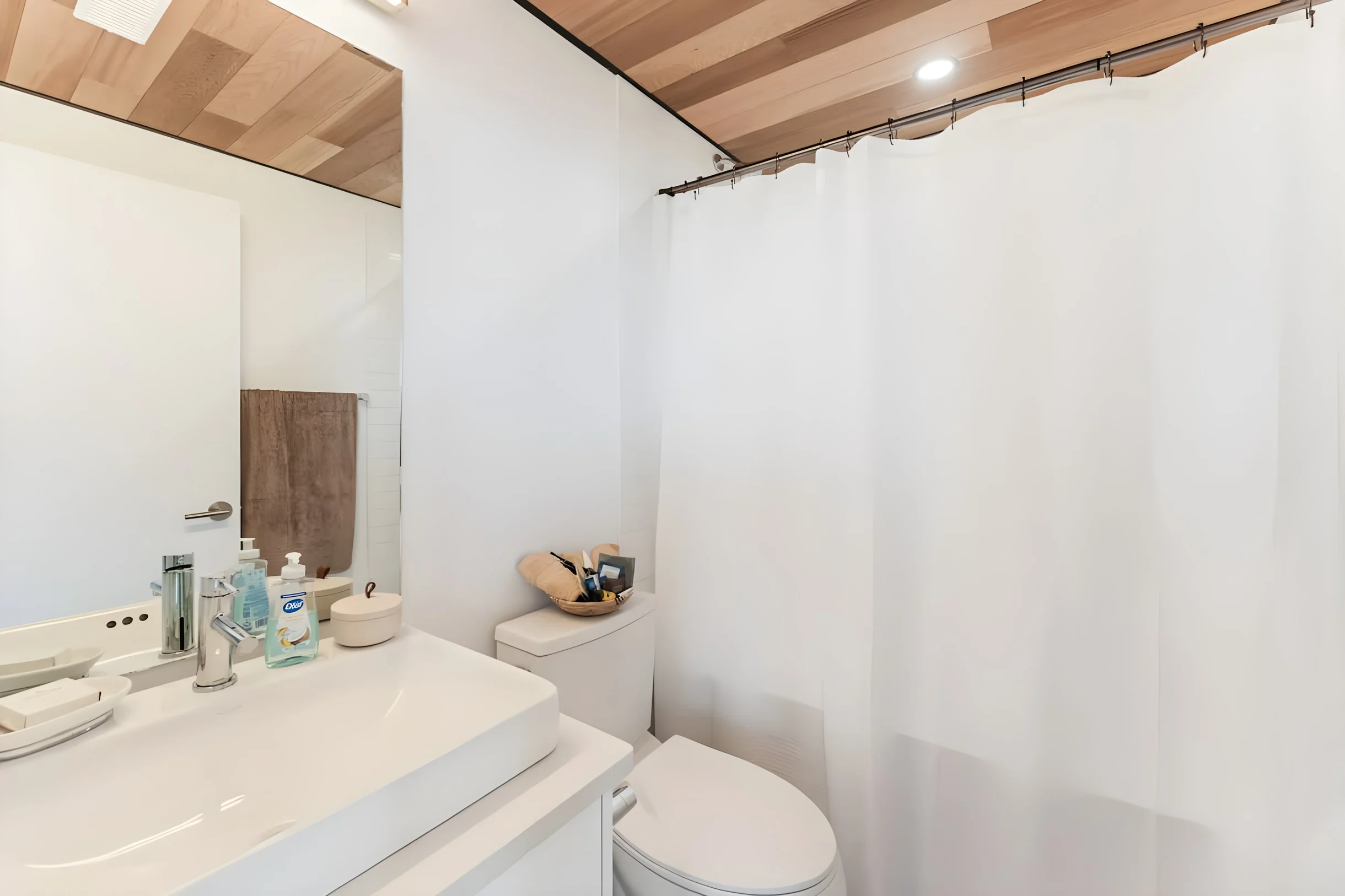 Wander Joshua Tree Moonrise #7