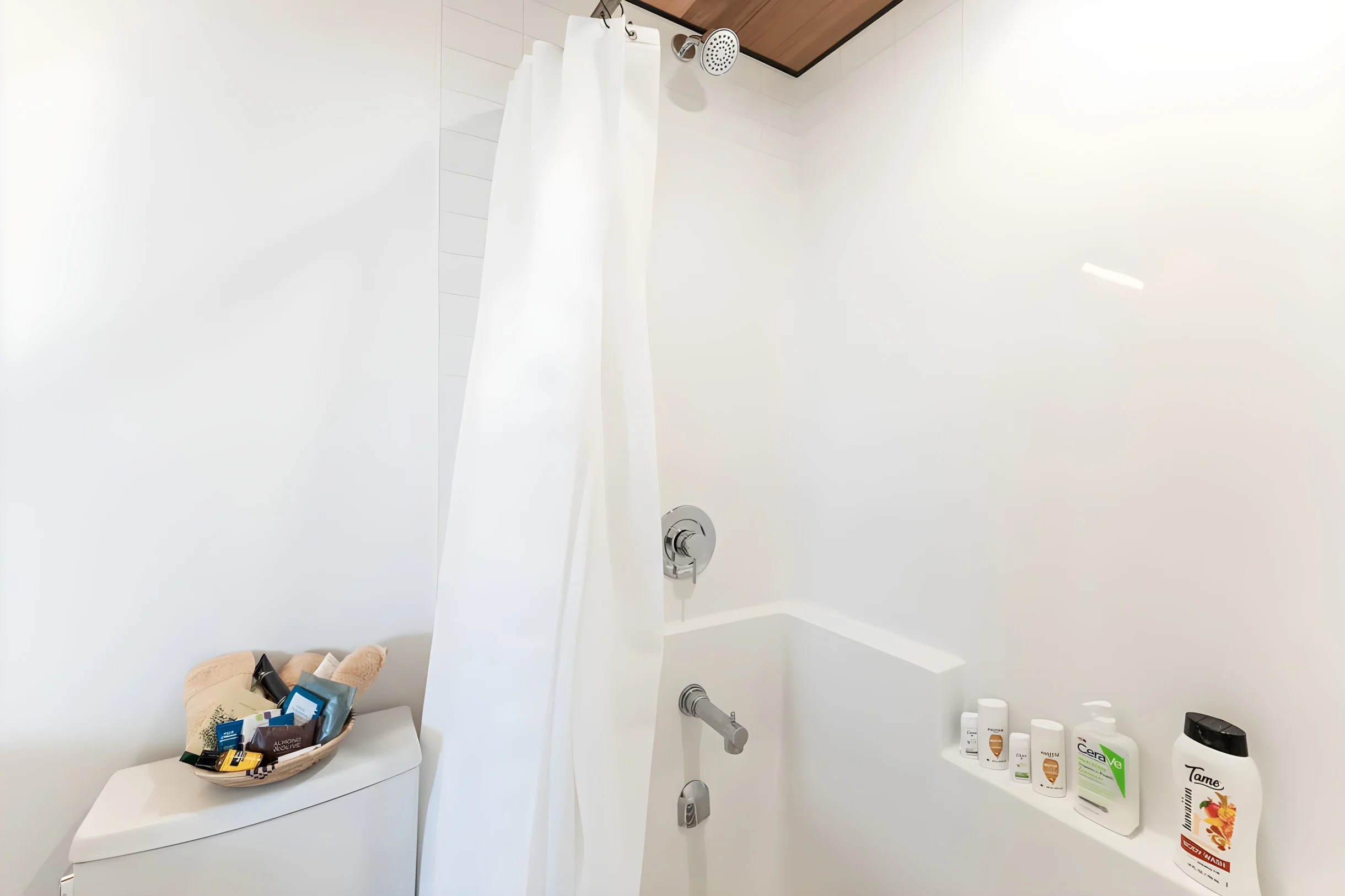 Wander Joshua Tree Moonrise #31