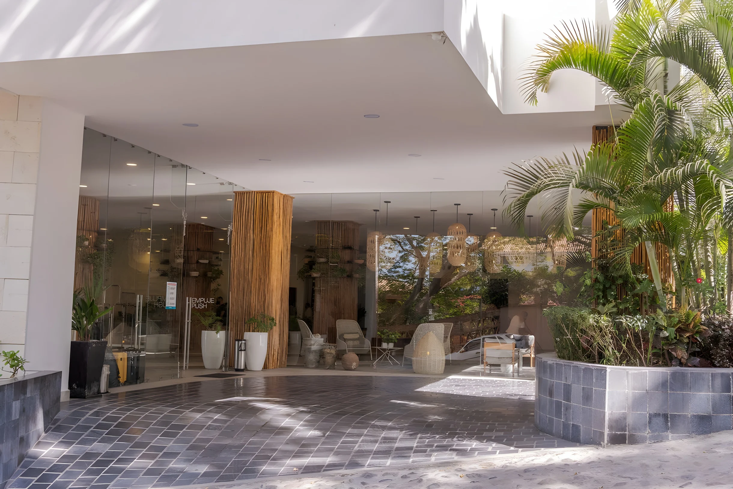 Wander Puerto Vallarta Haze #55