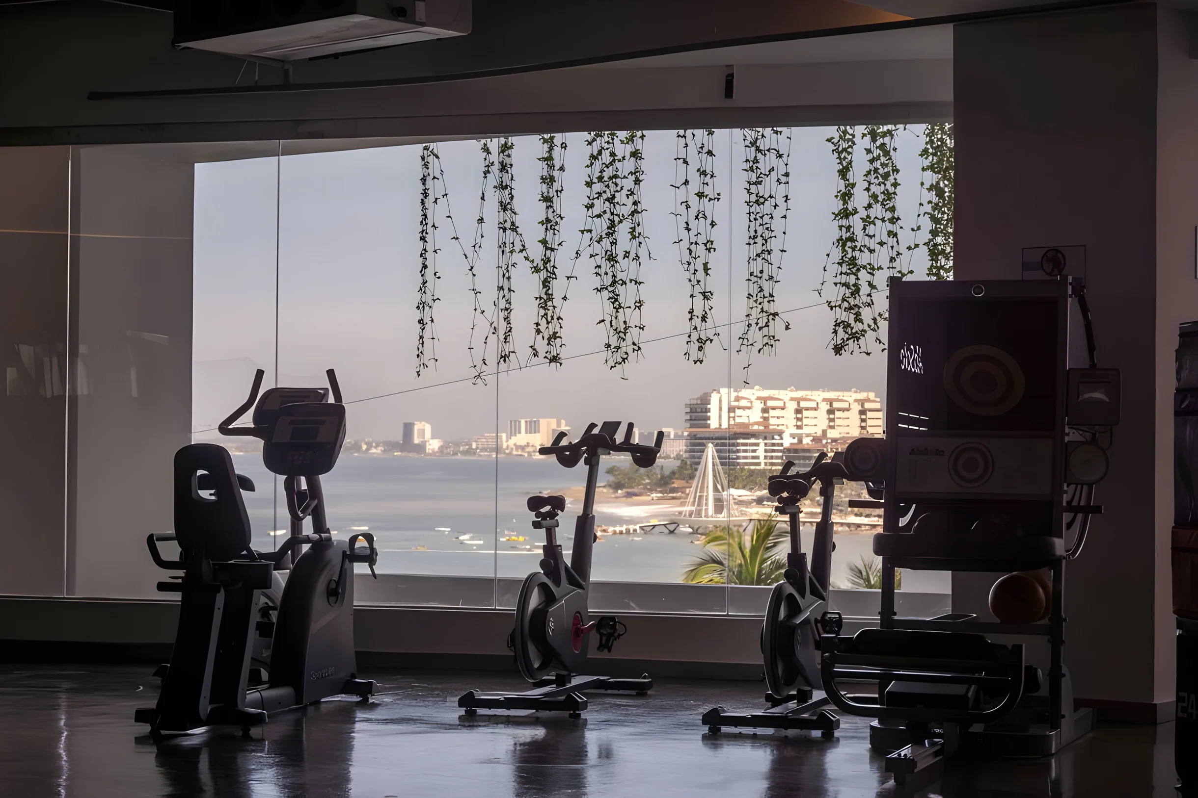 Wander Puerto Vallarta Golden #51