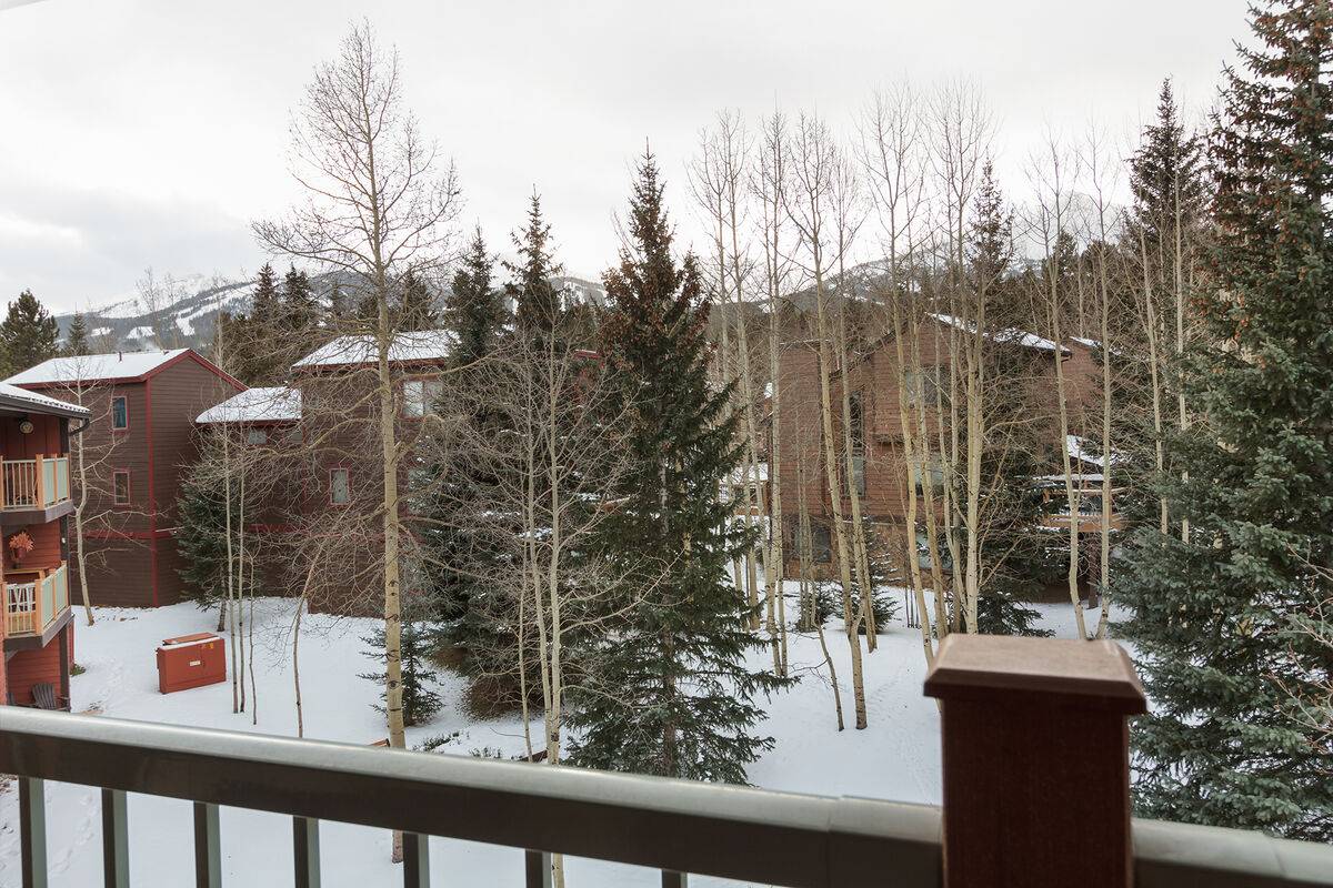 Wander Breckenridge Ridge #4