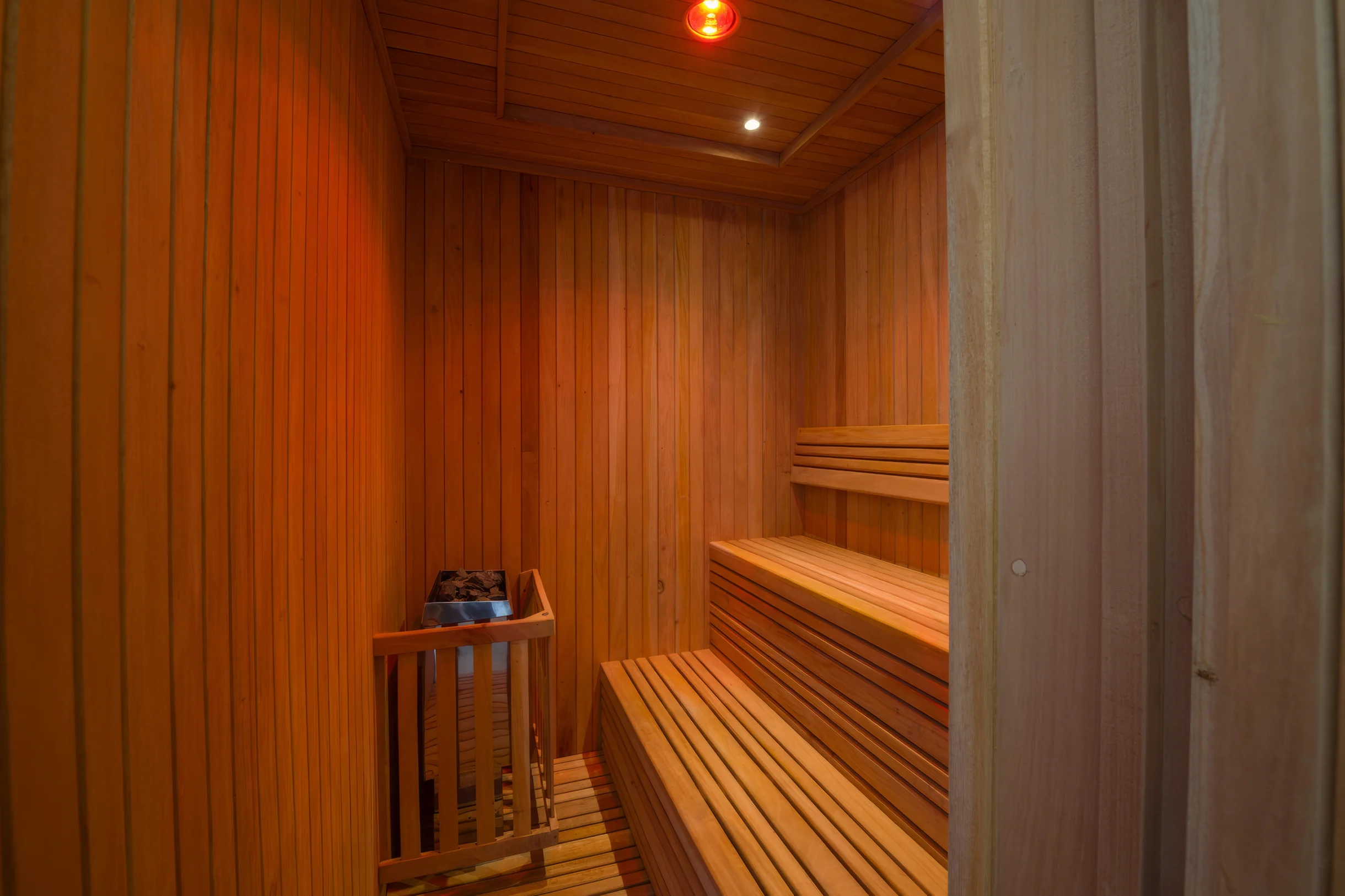 Wander Punta Mita Palmera #34