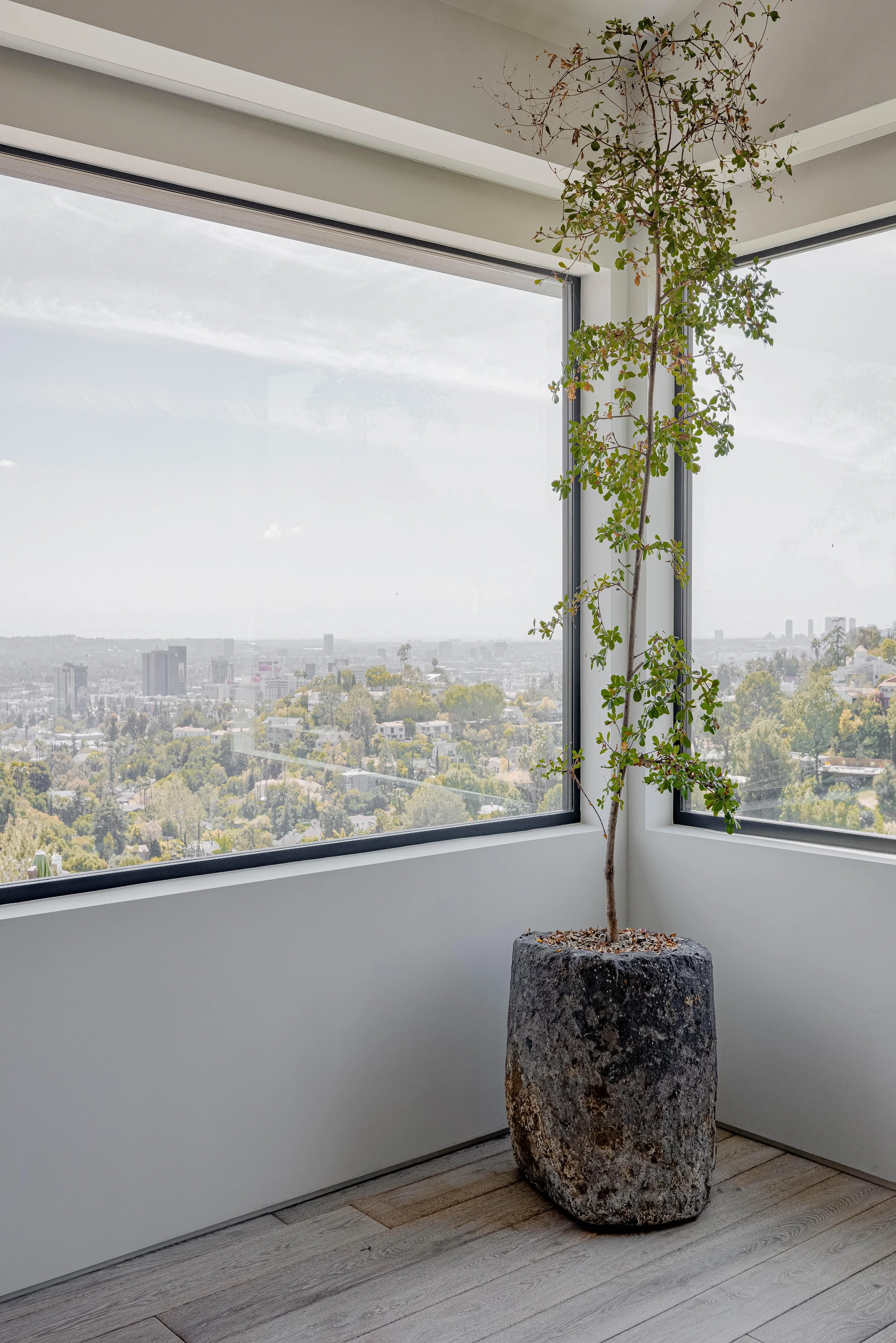 Wander Los Angeles Canyons #28